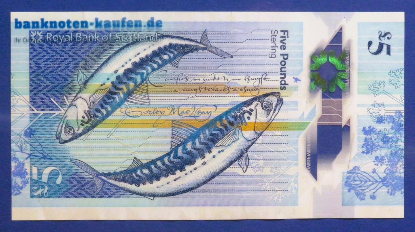 Schottland, 5 Pounds, 2016, gebraucht (USED / VF), Polymer, P-370a