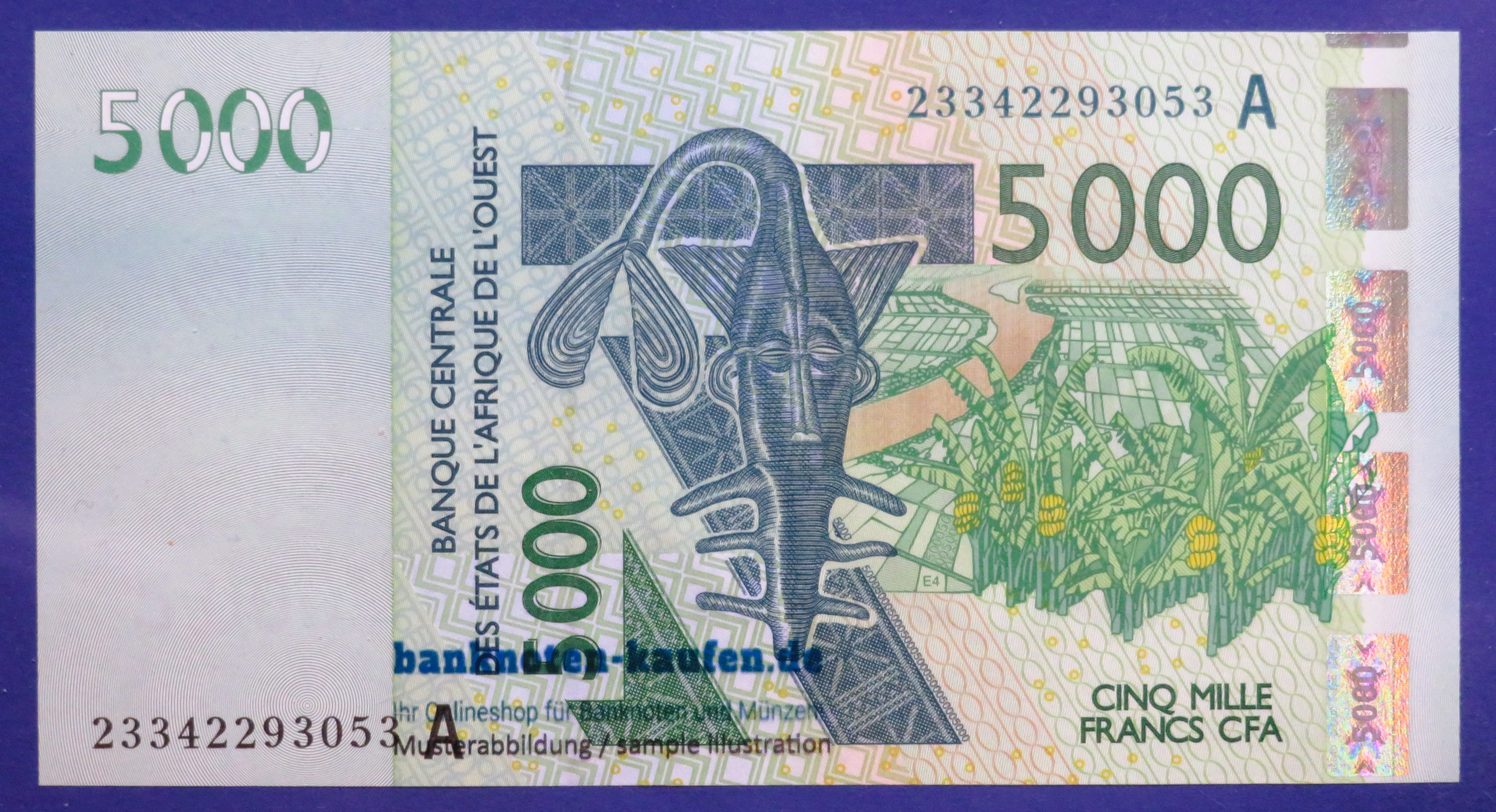 West African States - 5,000 Francs, 2003, uncirculated (UNC), P-117A