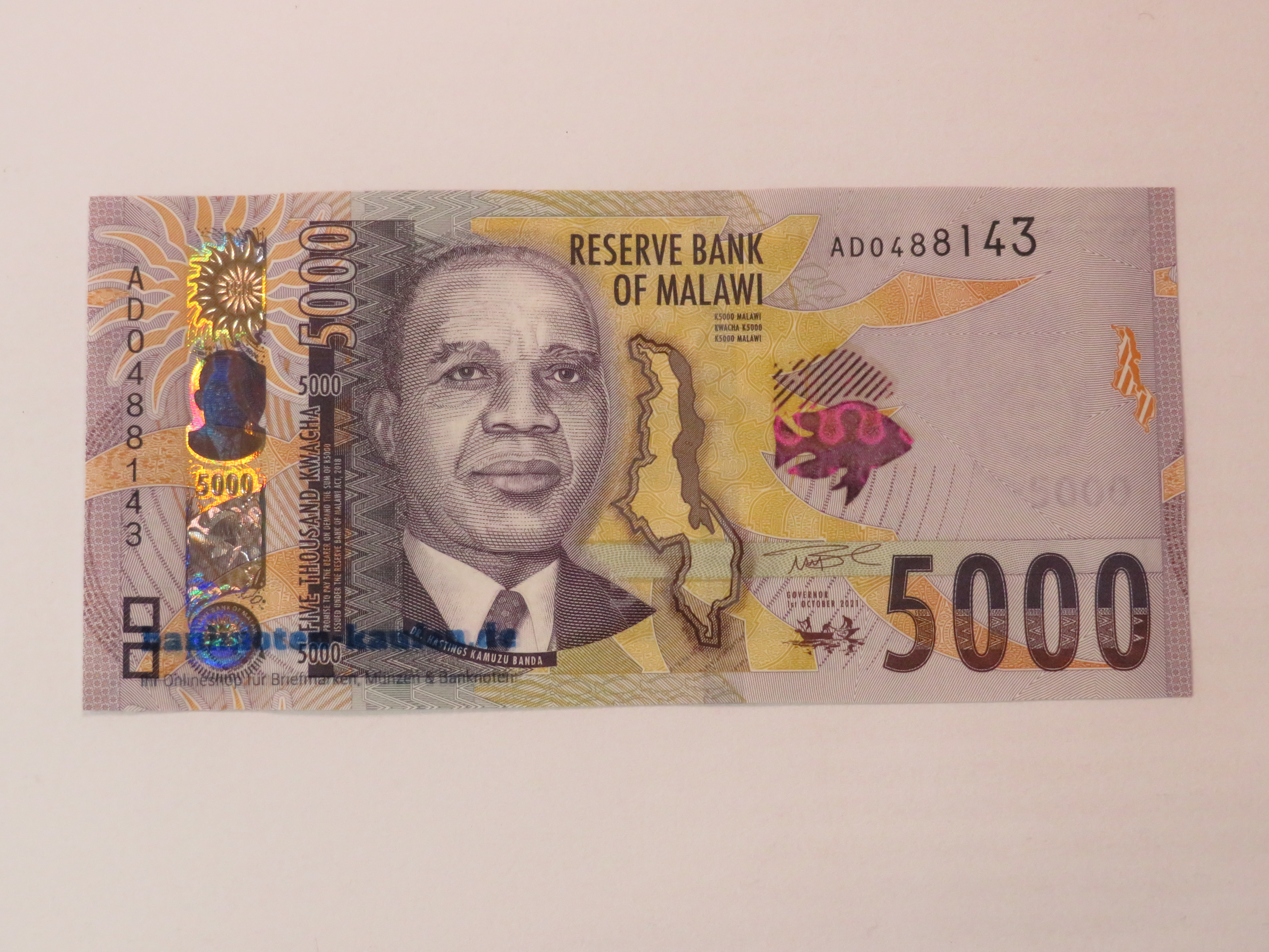 Egypt - 5 Pounds - UNC