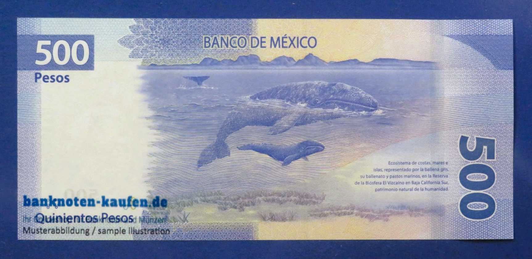 Mexico, 500 Pesos, 2020, uncirculated (UNC), P-136