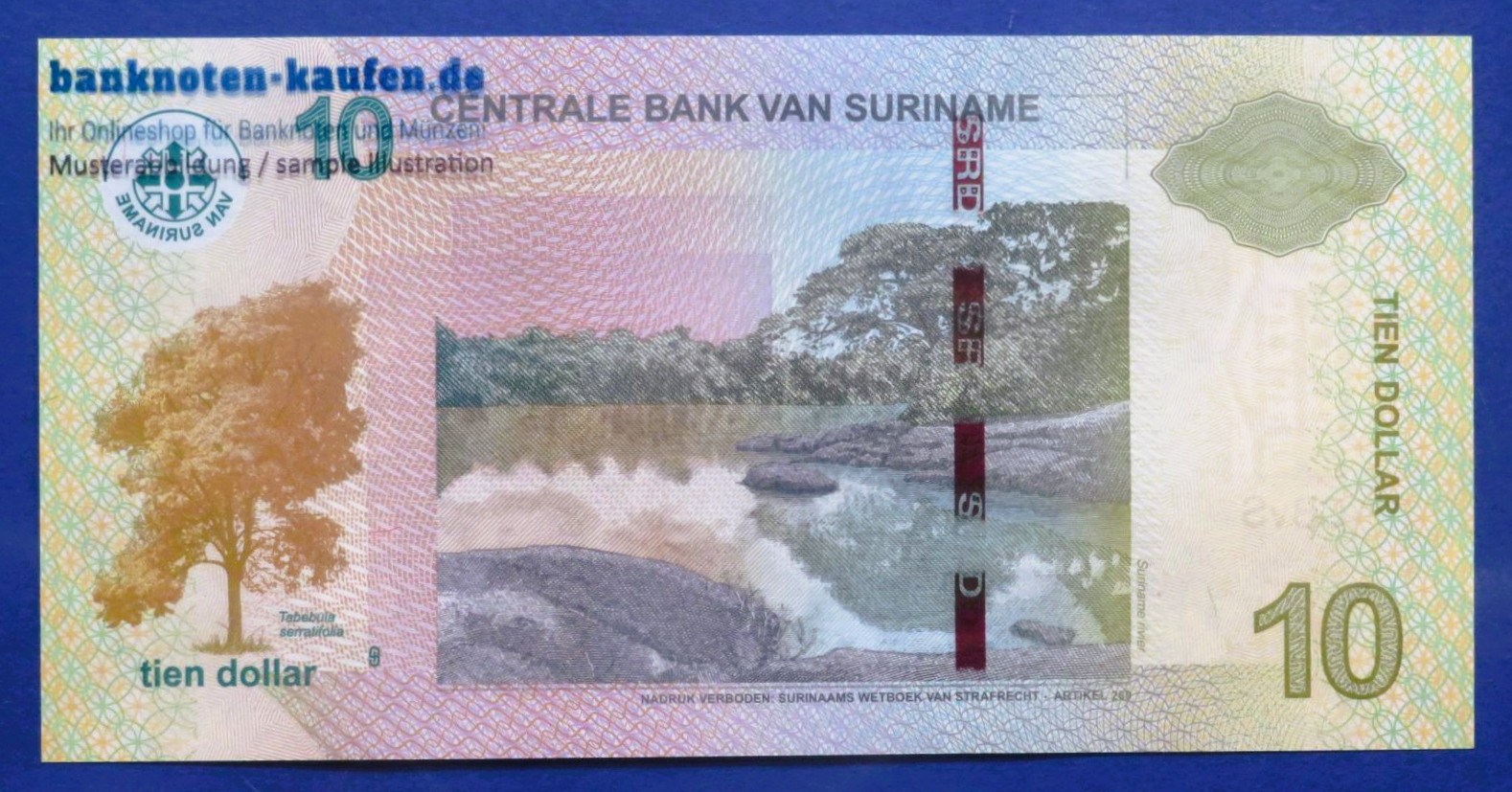 Suriname, 10 Dollars, 2019, kassenfrisch (UNC), P-163c
