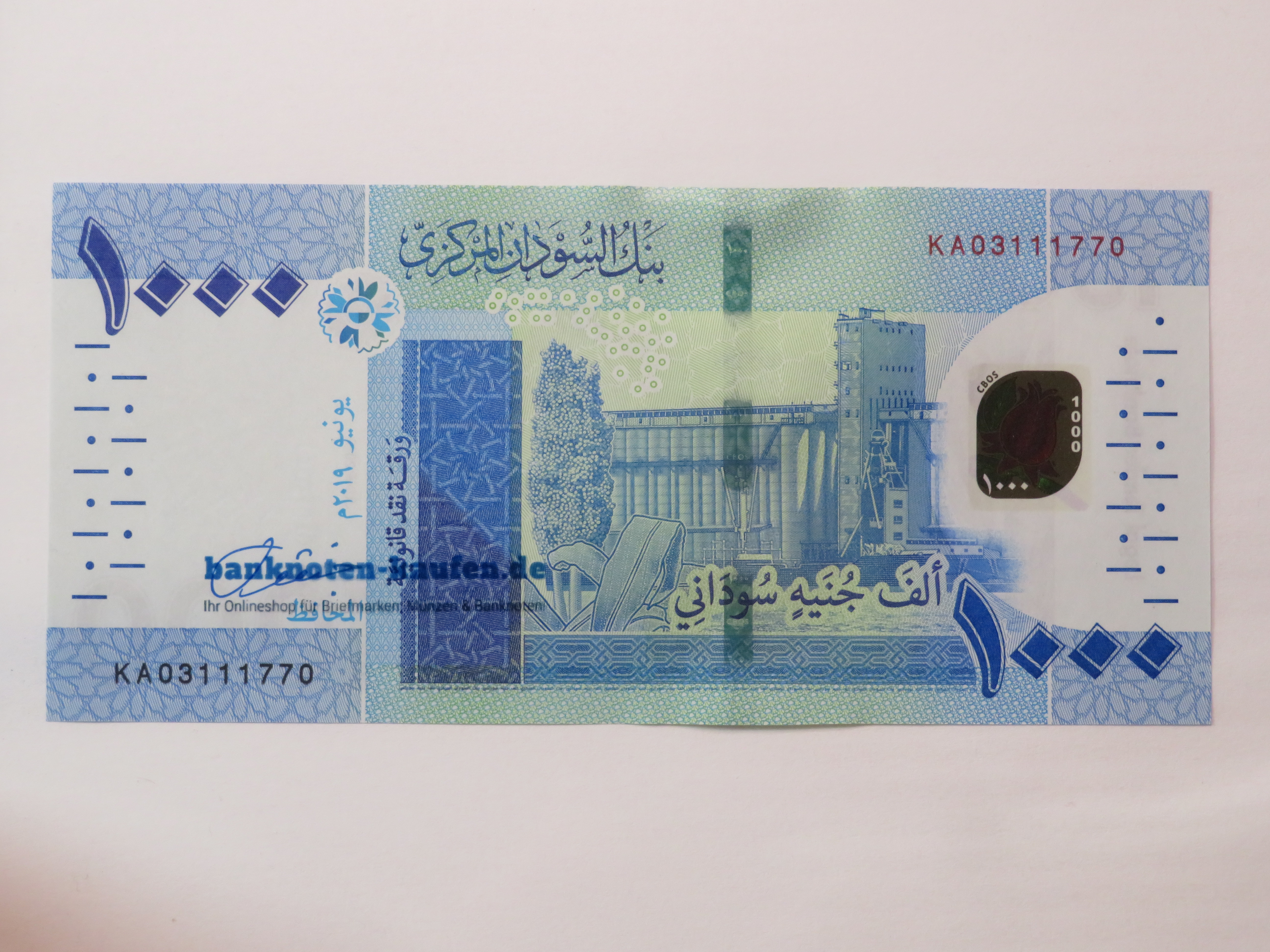 Egypt - 5 Pounds - UNC