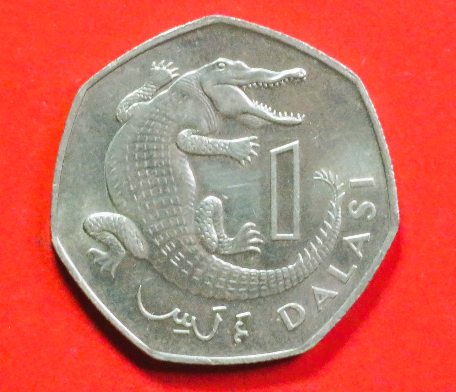 Gambia, 1 Dalasi, 1987, gebraucht (used / vz), # 23