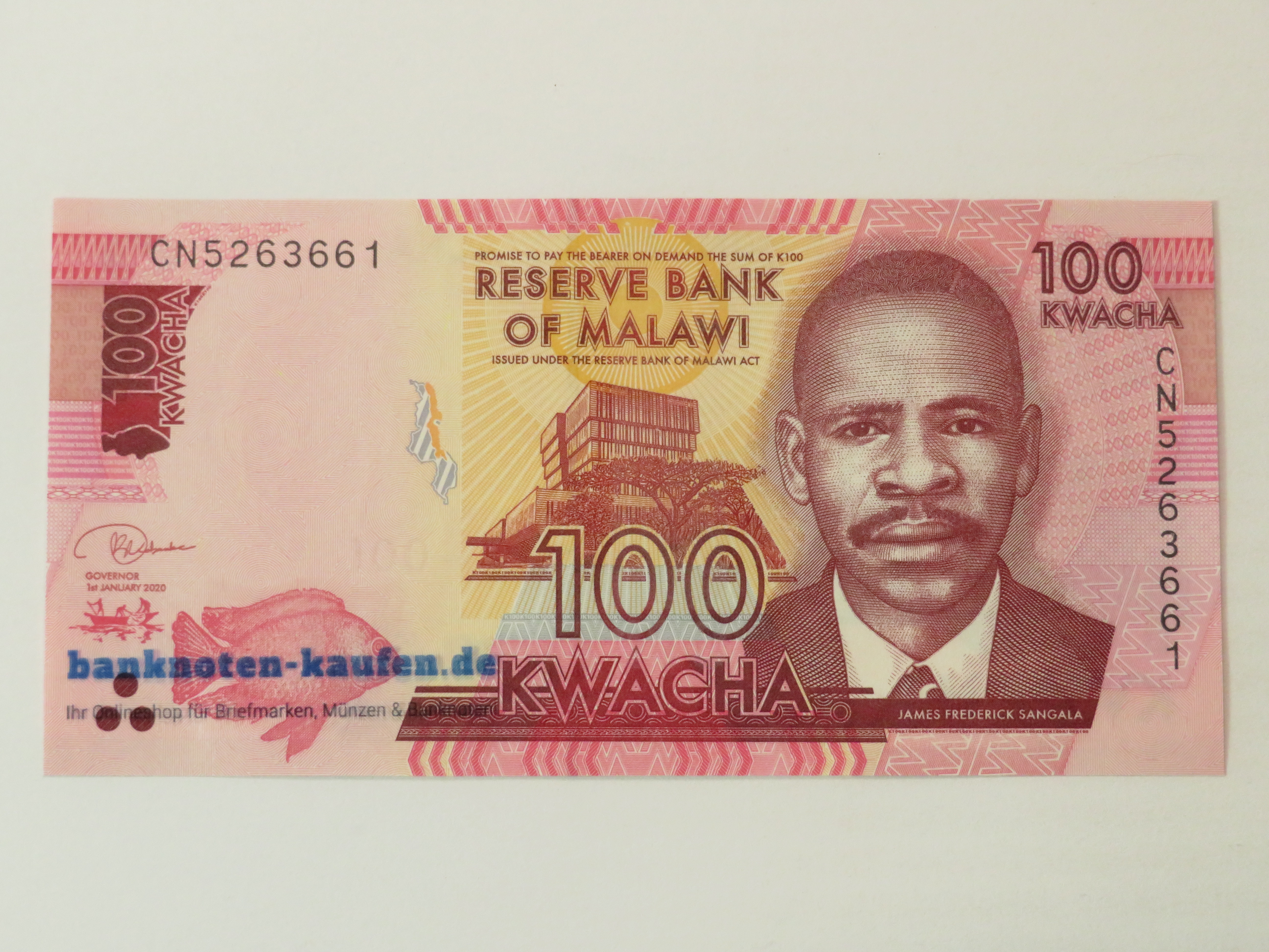Egypt - 5 Pounds - UNC
