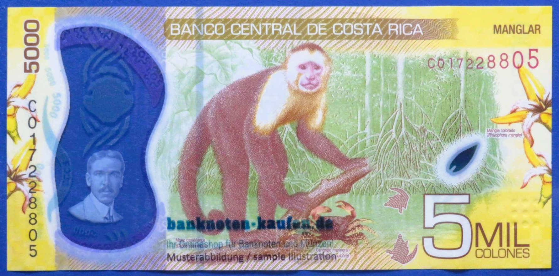 Costa Rica - 5,000 Colones, 2018, circulated (USED / VF), Polymer, P-282a