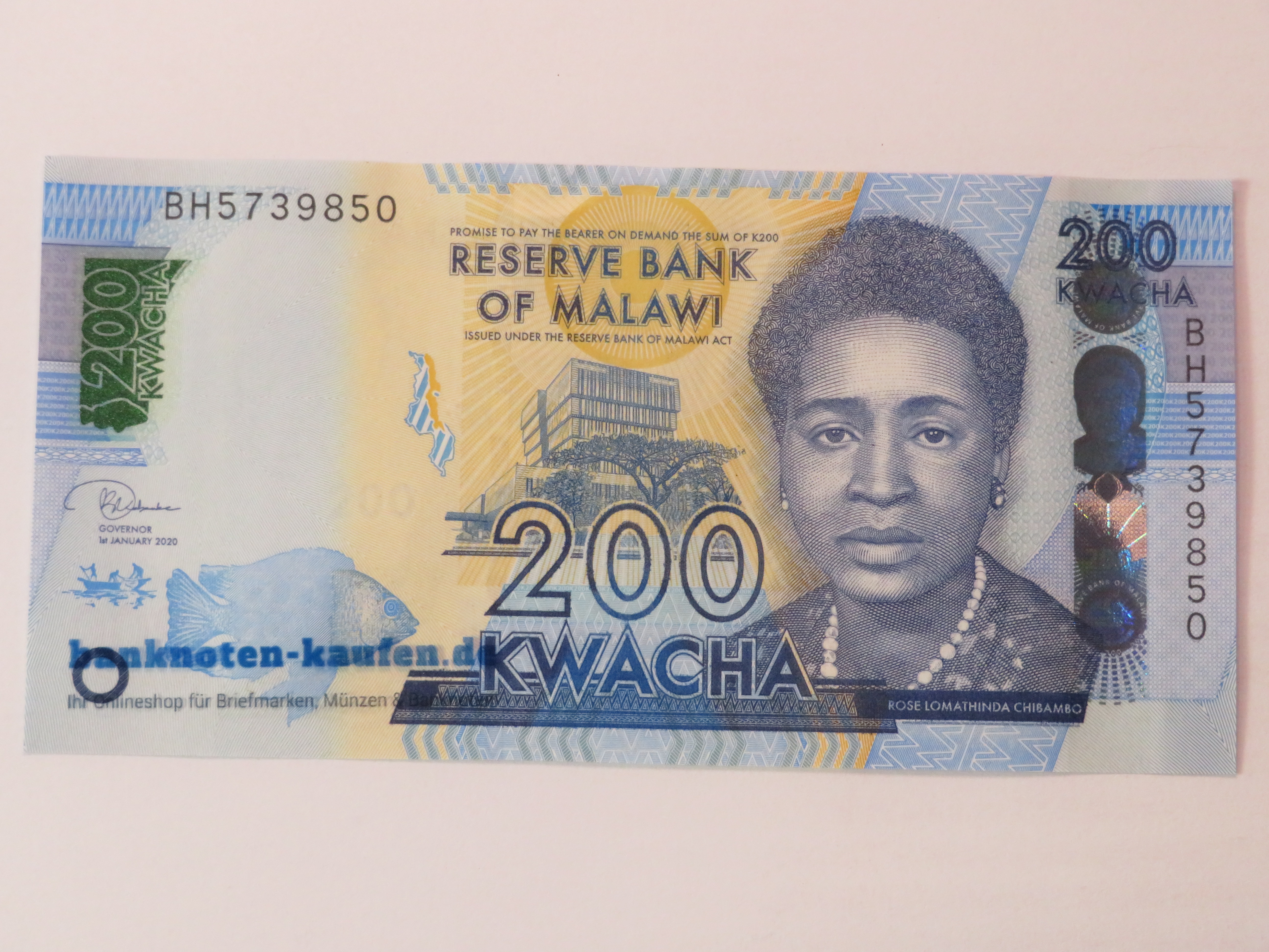 Egypt - 5 Pounds - UNC