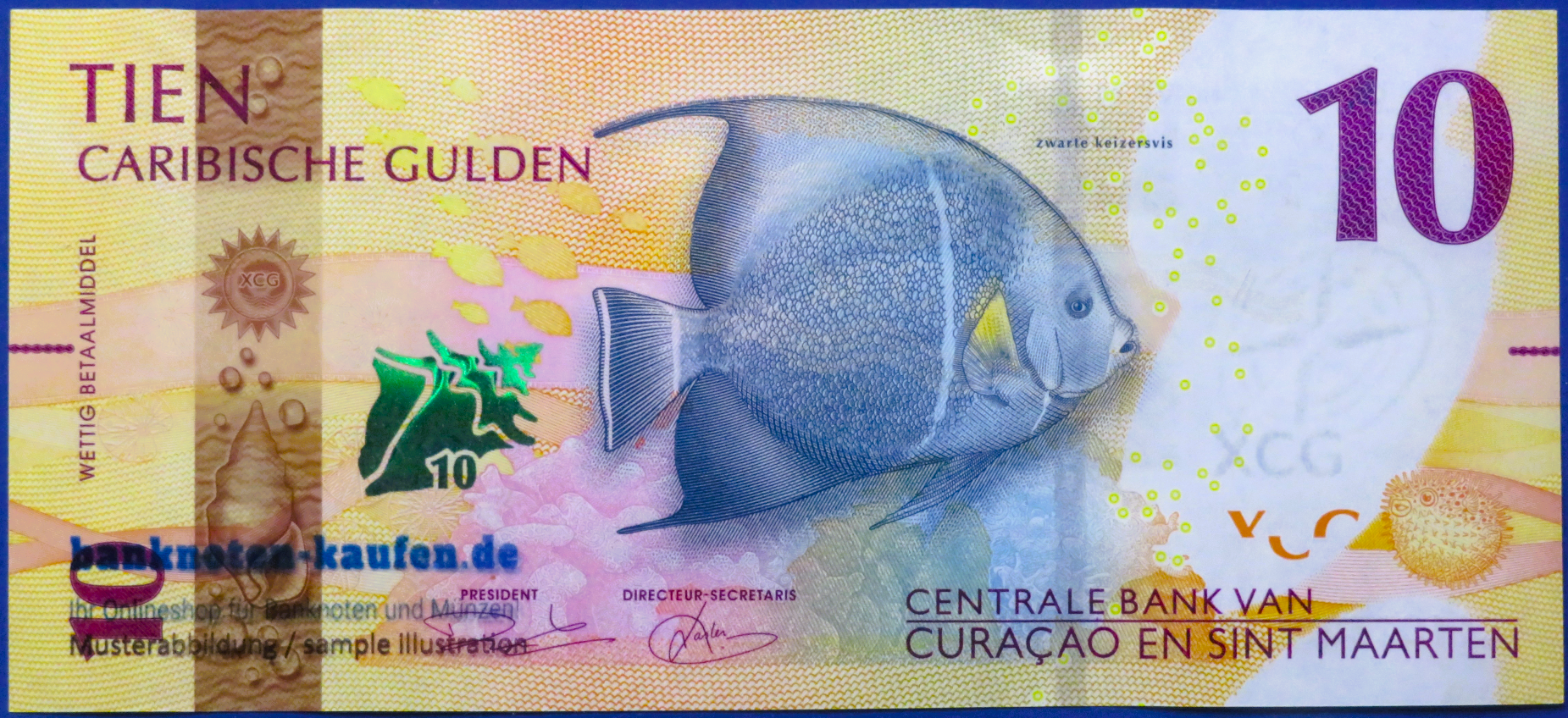 Curacao und Sint Maarten, 10 karibische Gulden, 2025, kassenfrisch (UNC), P-1
