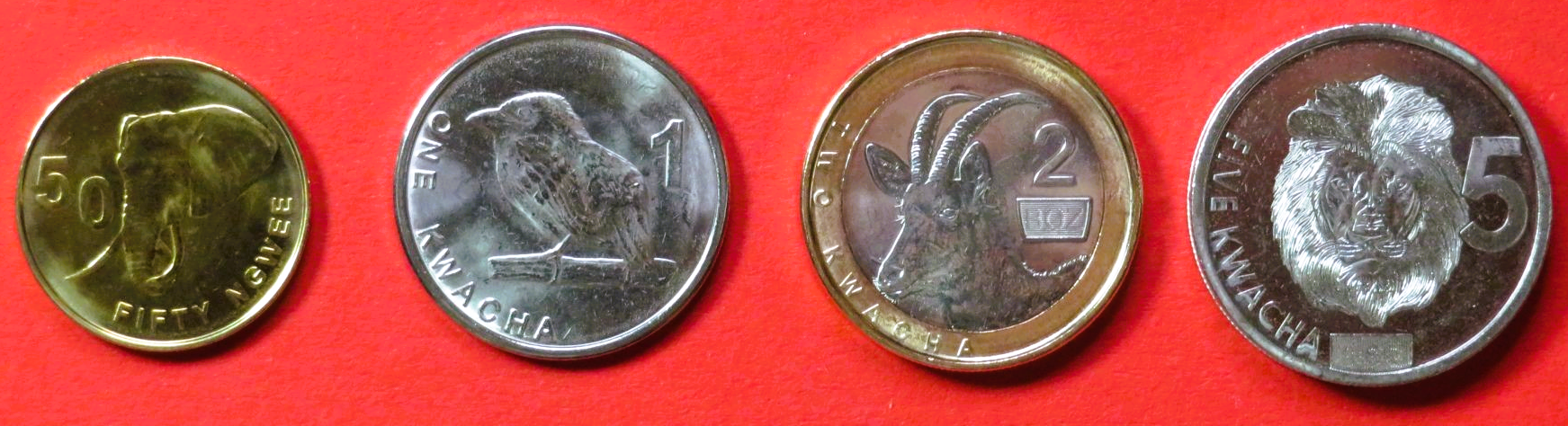 Sambia, 4 Kursmünzen, 8,50 Kwacha, 2024, unzirkuliert (UNC) 