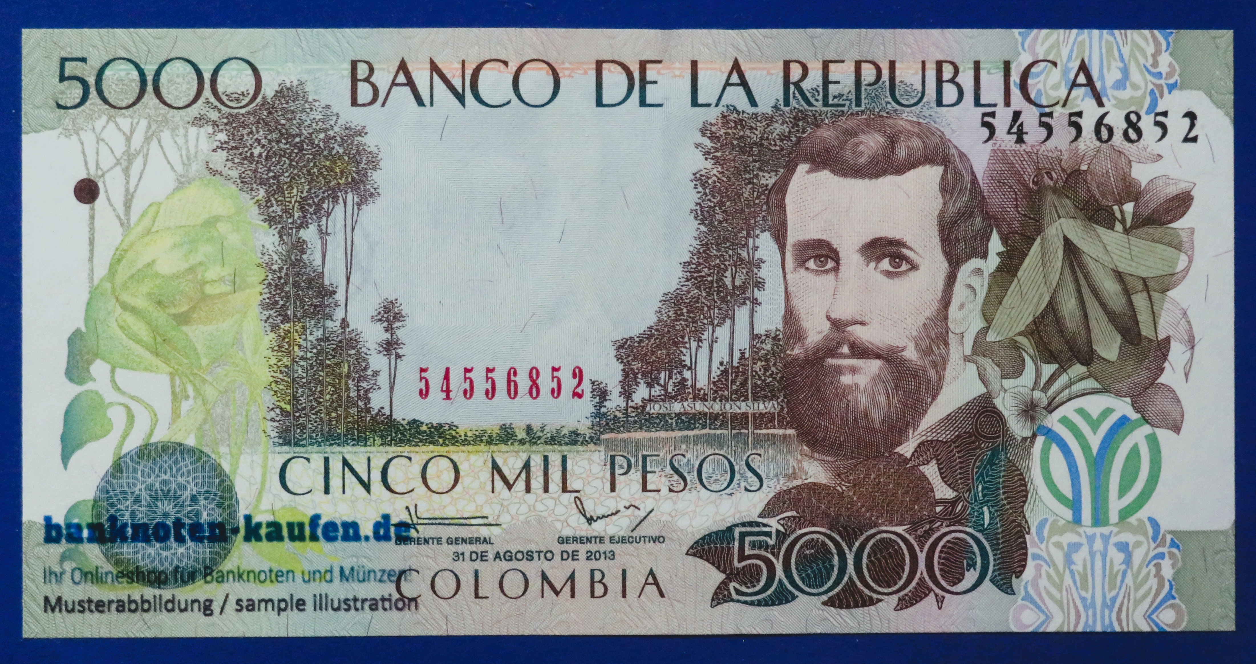 Colombia - 5,000 Pesos, 2013, uncirculated (UNC), P-452