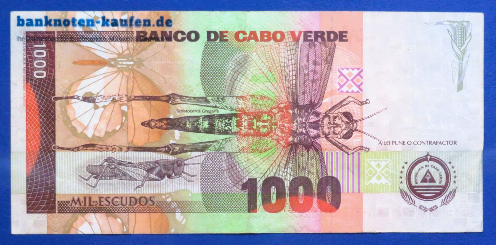 Kap Verde, 1.000 Escudos, 1992, gebraucht (USED / VF), P-65a