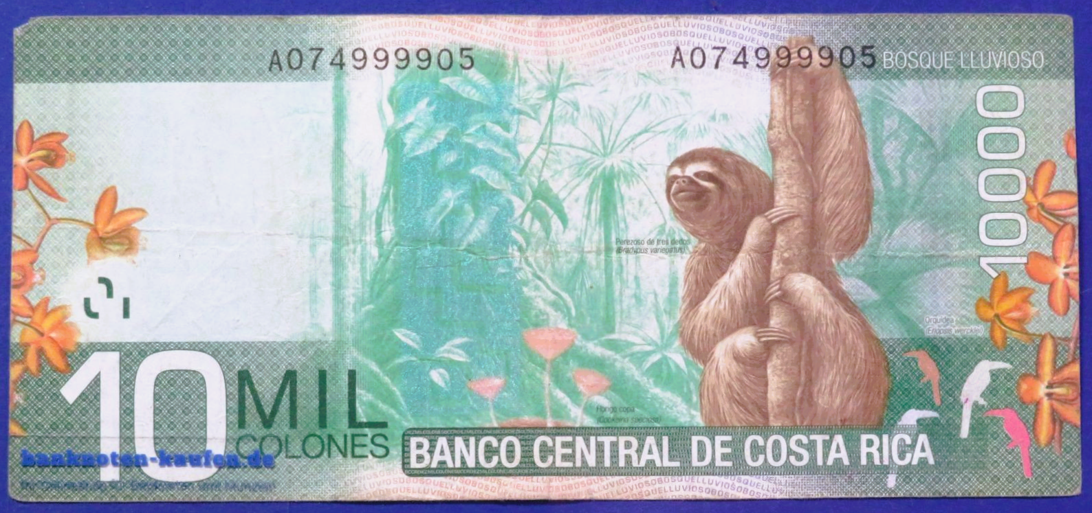 Costa Rica - 10,000 Colones, 2014, circulated (USED / G), P-277b