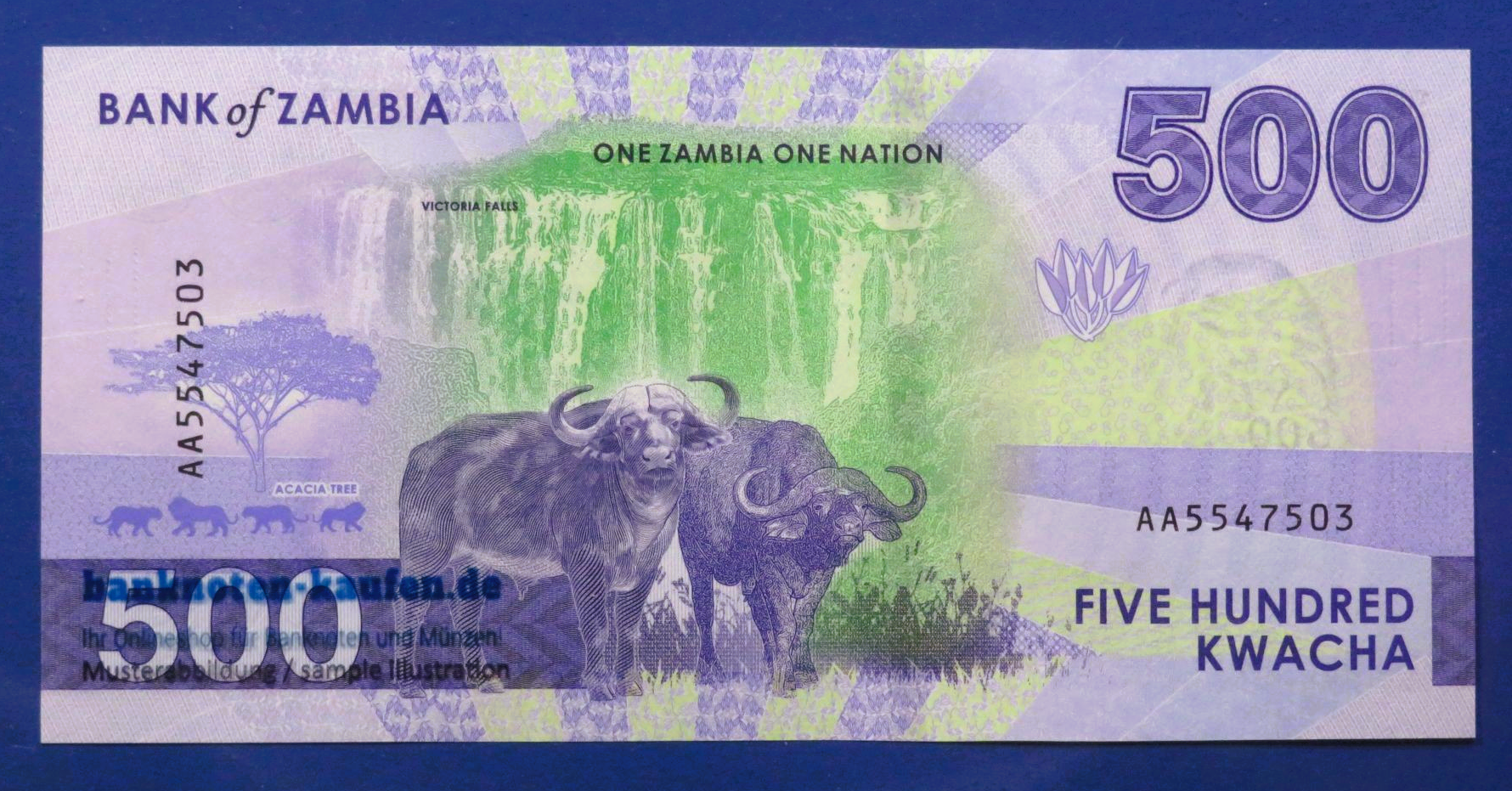 Zambia, 500 Kwacha, 2024, uncirculated (UNC), P-67