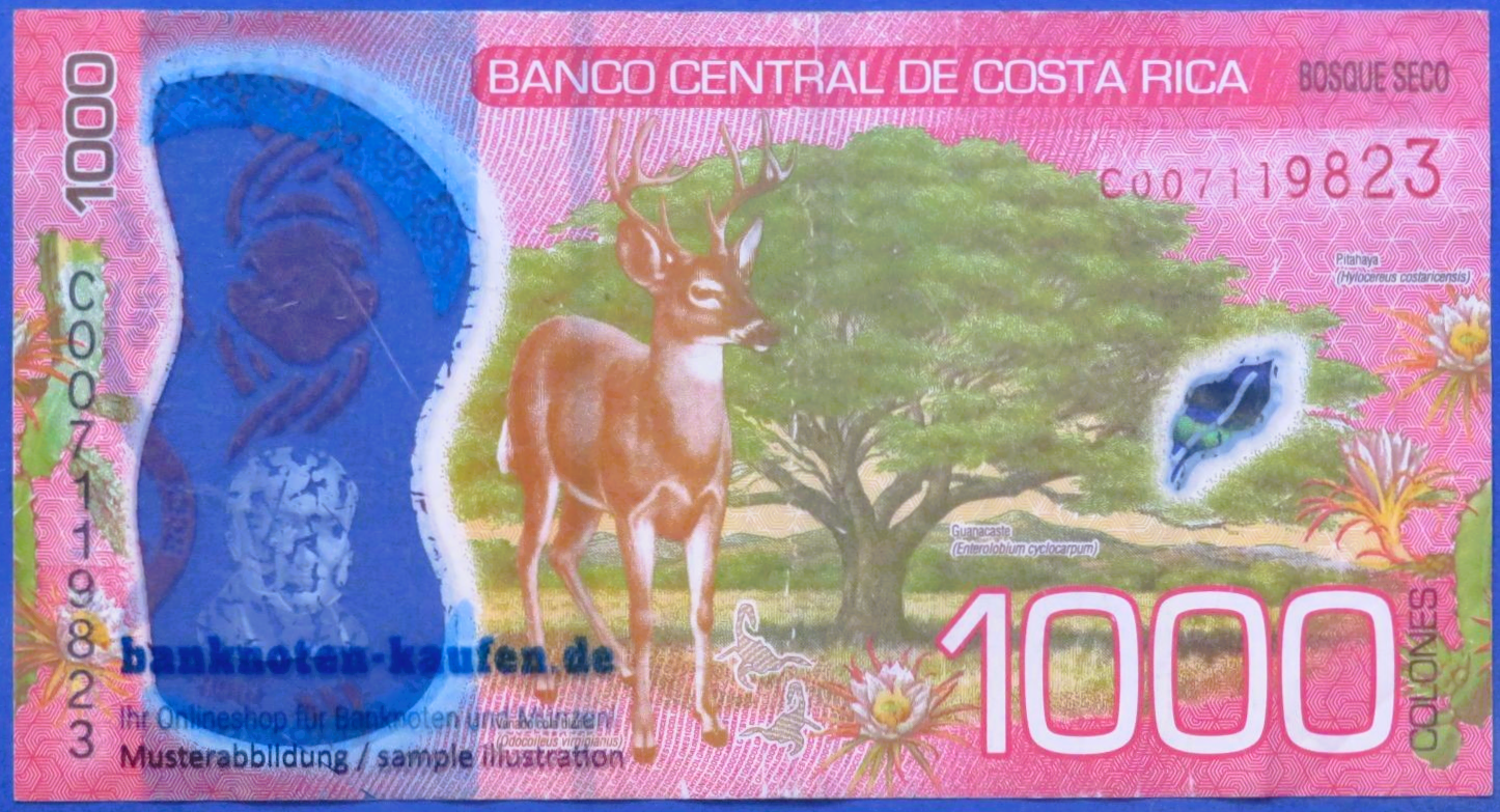 Costa Rica, 1.000 Colones, 2019, gebraucht (USED / F), Polymer, P-280a