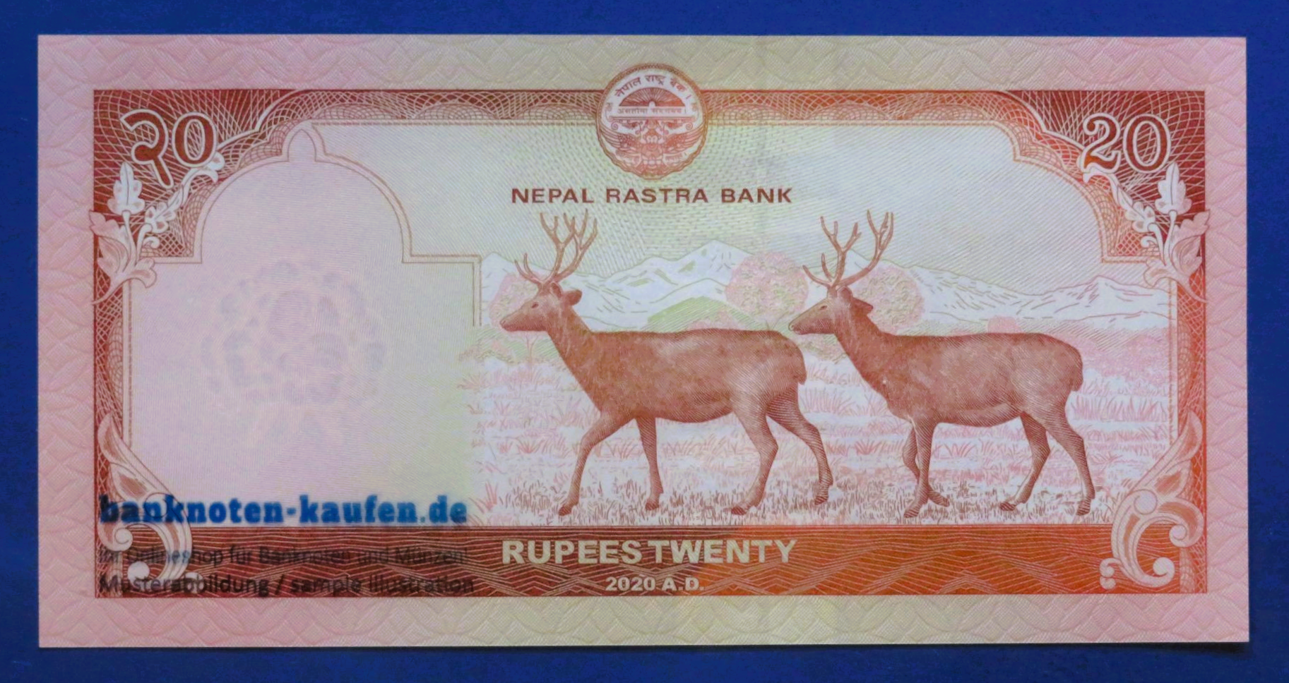 Nepal, set of 5 banknotes, 5/10/20/50/100 Rupees, 2019/2020, about uncirculated (AU), P-76-80