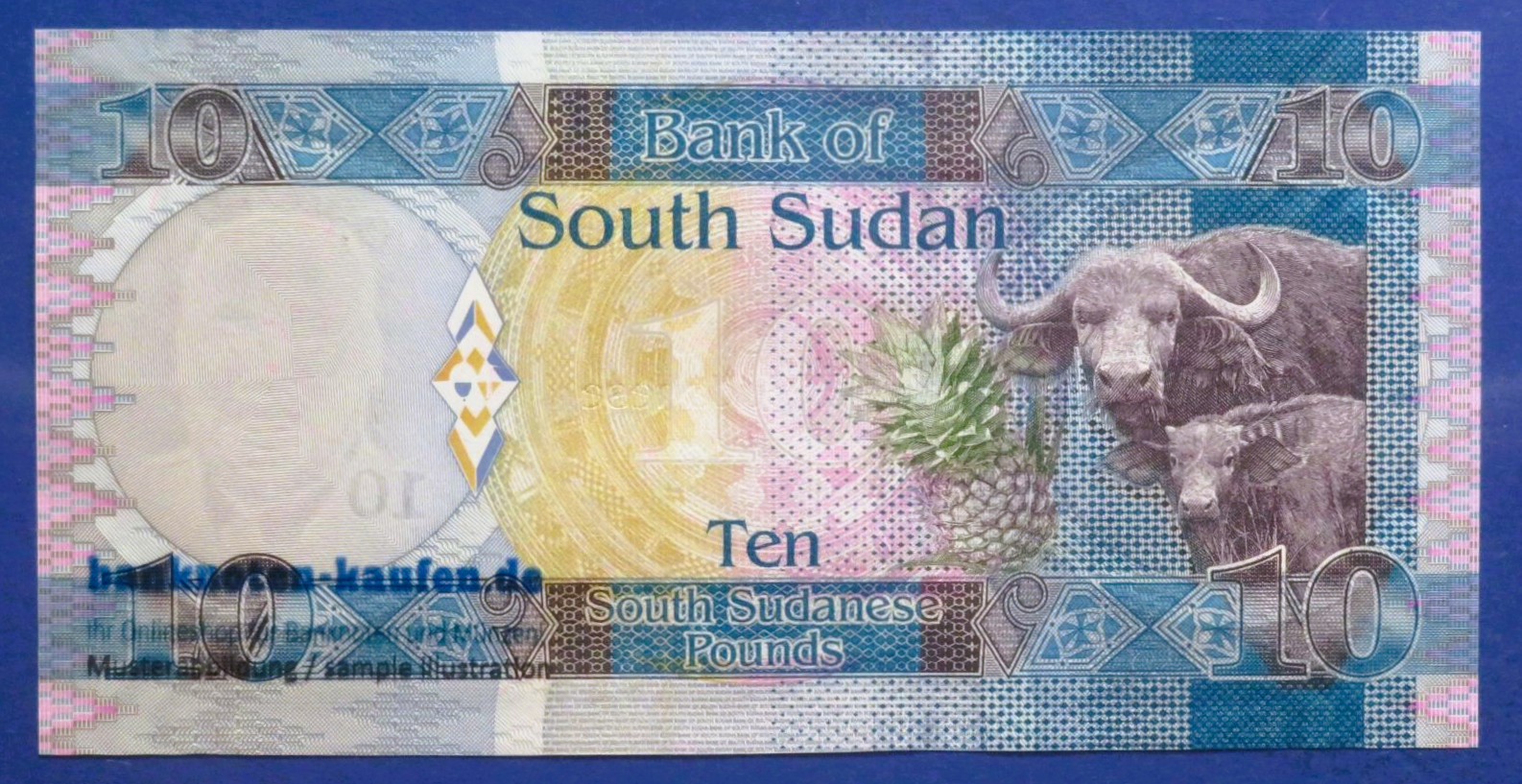 South Sudan, 10 Pounds, 2011, uncirculated (UNC), P-7