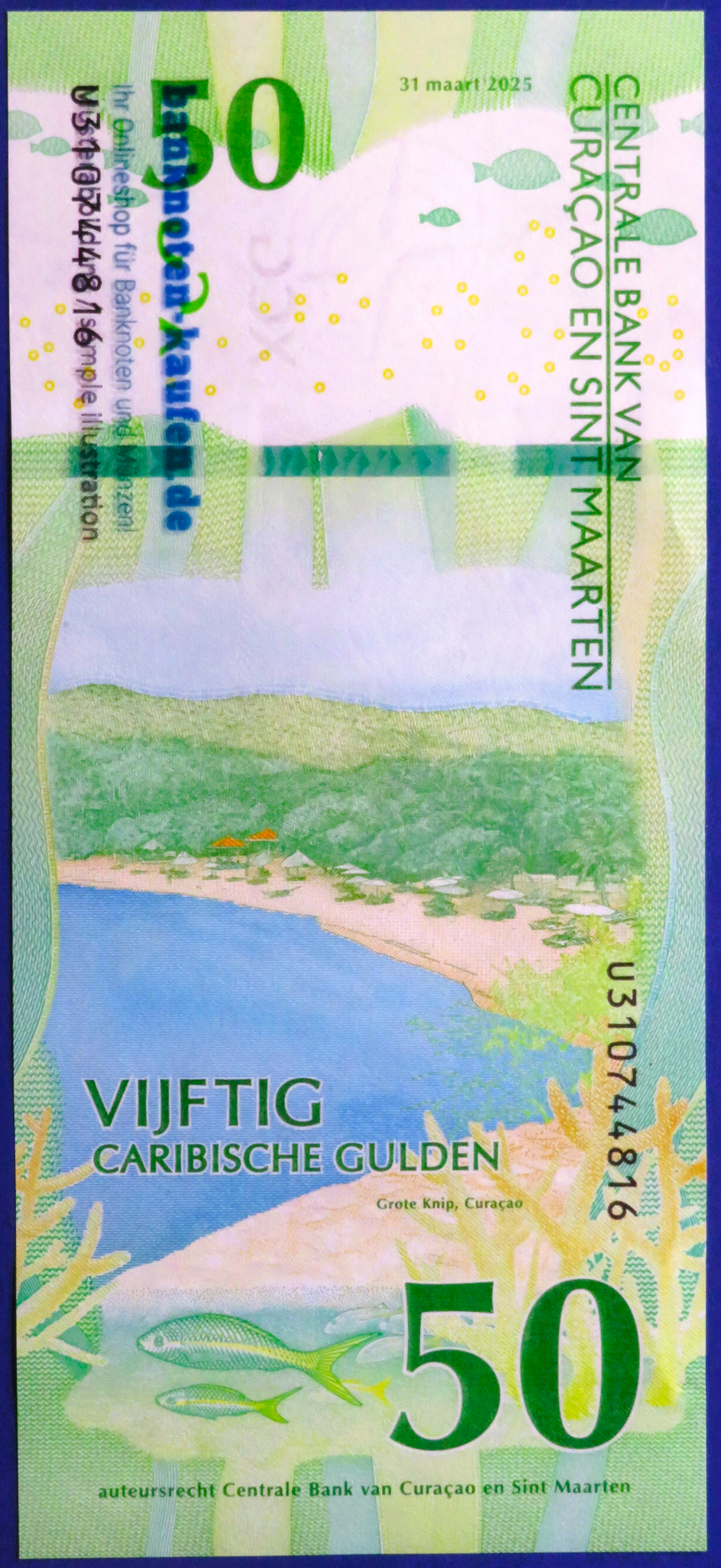 Curacao und Sint Maarten, 50 karibische Gulden, 2025, kassenfrisch (UNC), P-3