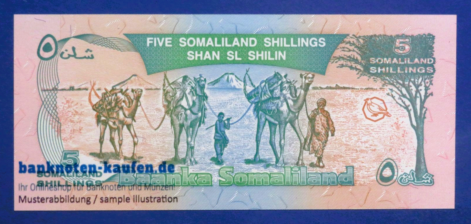 Somaliland, 5 Shilin, 1994, uncirculated (UNC), P-1