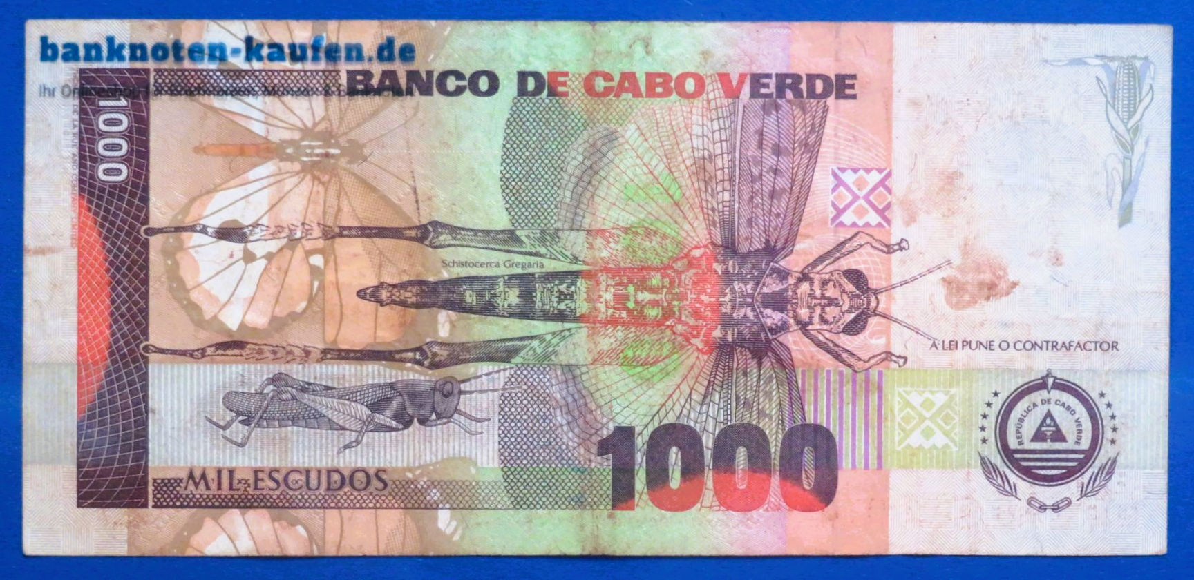 Kap Verde, 1.000 Escudos, 1992, gebraucht (USED / VF-), P-65a