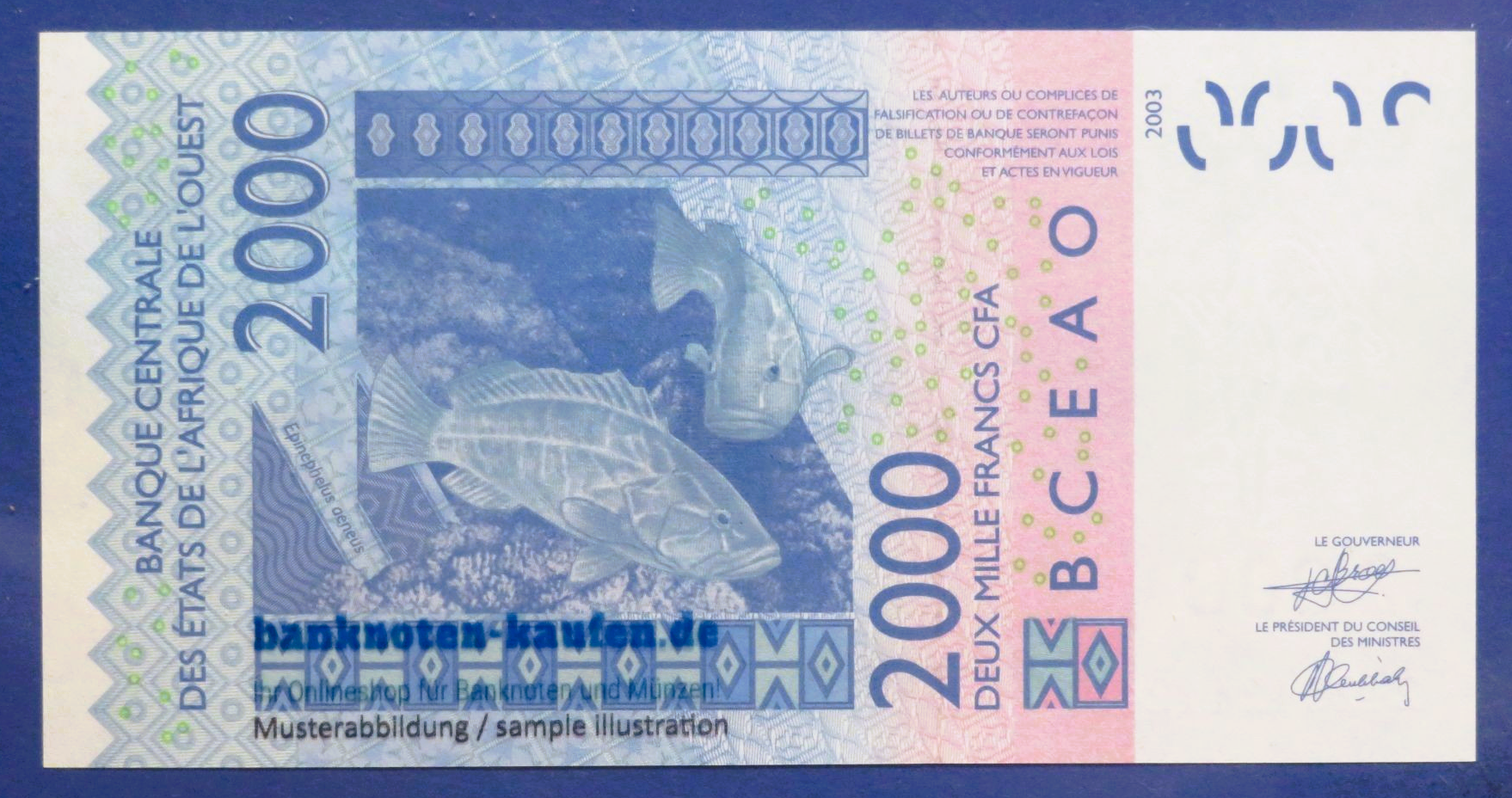 West African States - 2,000 Francs, 2003, uncirculated (UNC), P-116A