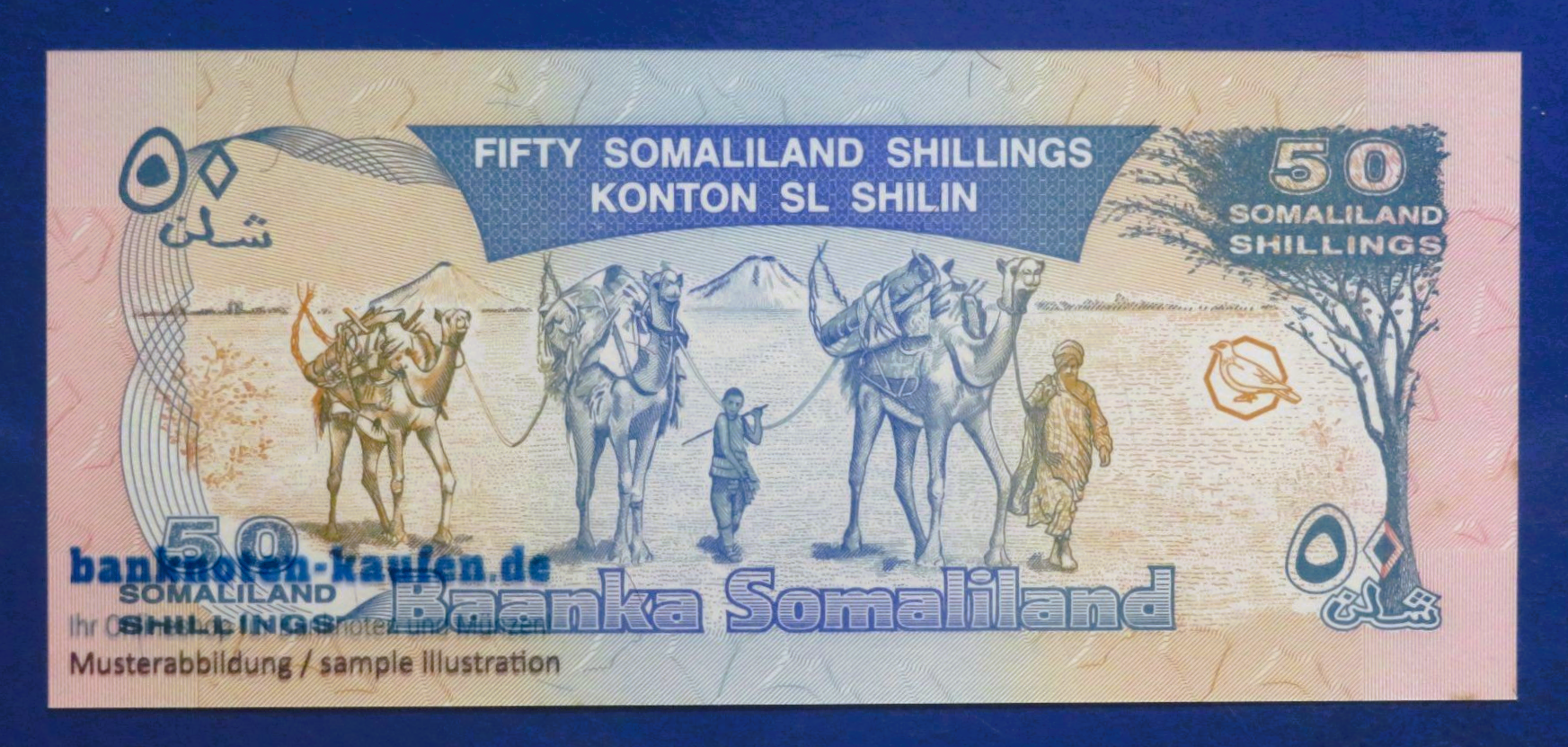 Somaliland, 50 Shilin, 2002, kassenfrisch (UNC), P-7d