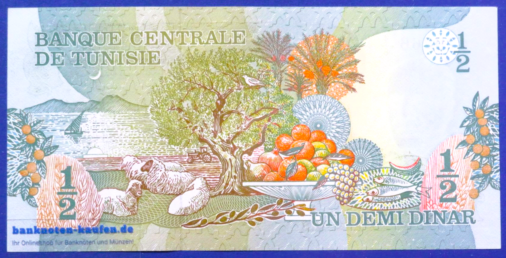 Tunisia, 1/2 Dinar, 1973, about uncirculated (AU), P-69