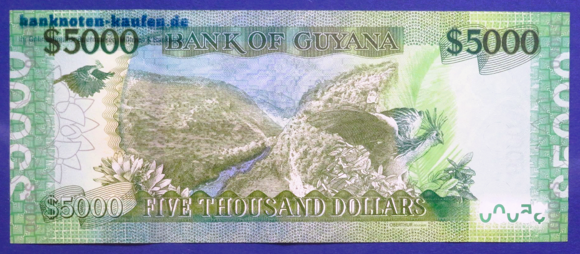 Guyana - 5,000 Dollars, 2023ND, extremely fine (XF)