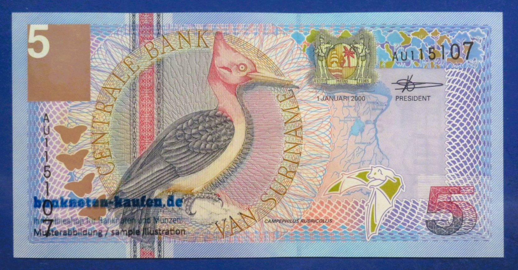 Suriname, 5 Gulden, 2000, about uncirculated (AU), P-146