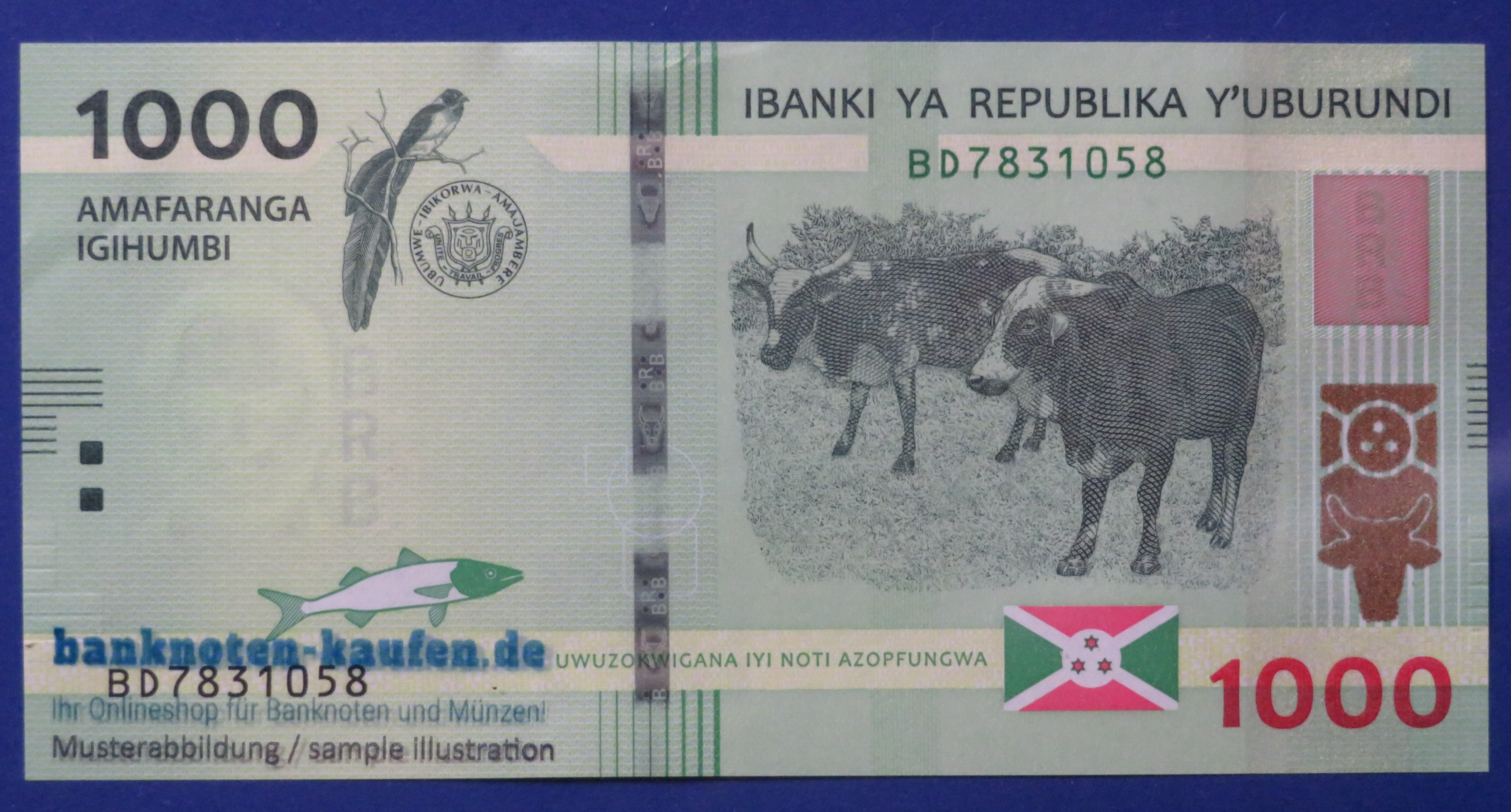 Burundi - 1,000 Francs, 2021, uncirculated (UNC) 