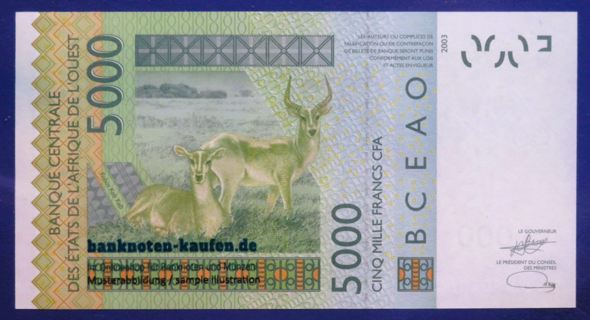 West African States - 5,000 Francs, 2003, uncirculated (UNC), P-117A