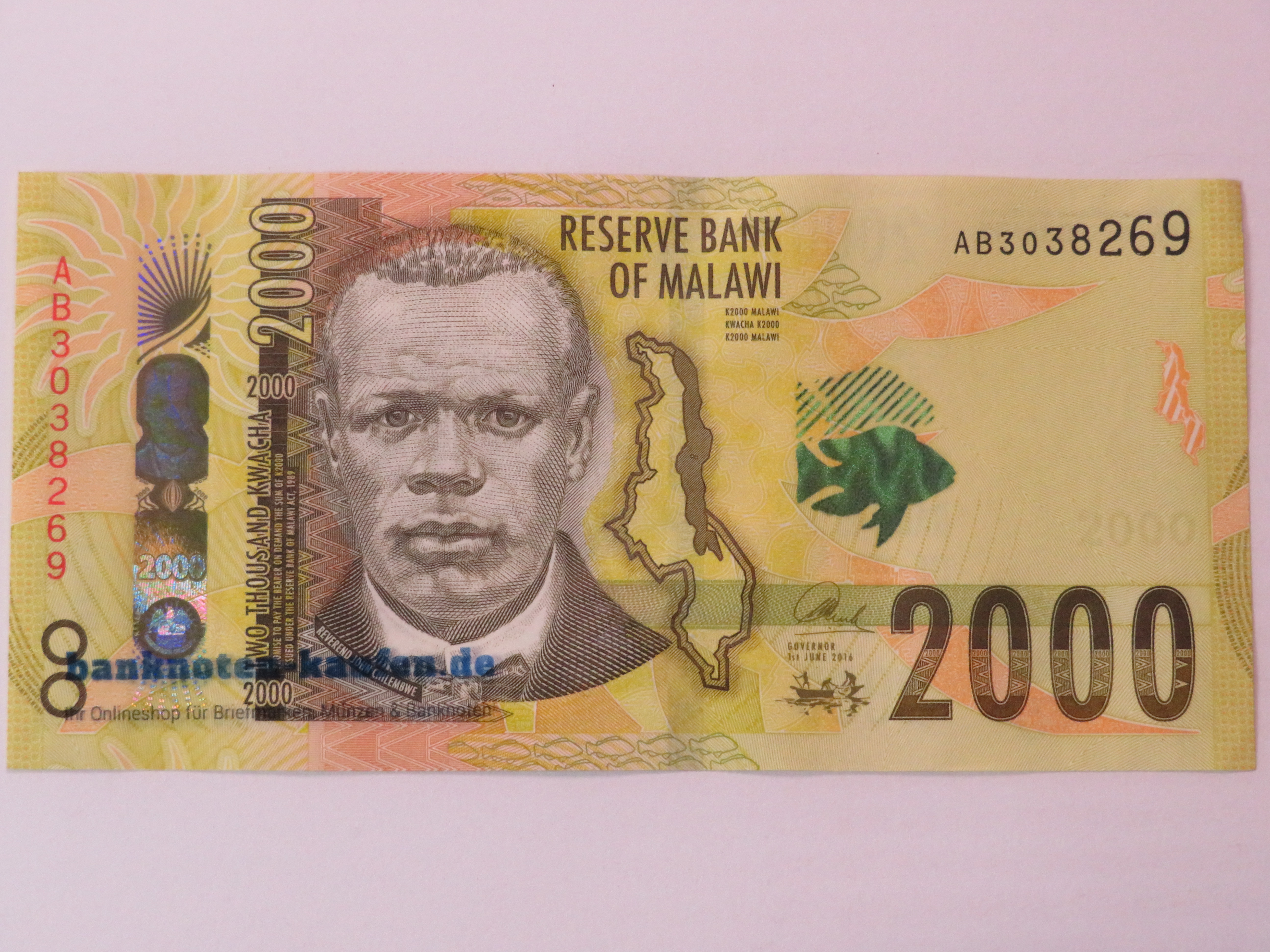 Egypt - 5 Pounds - UNC