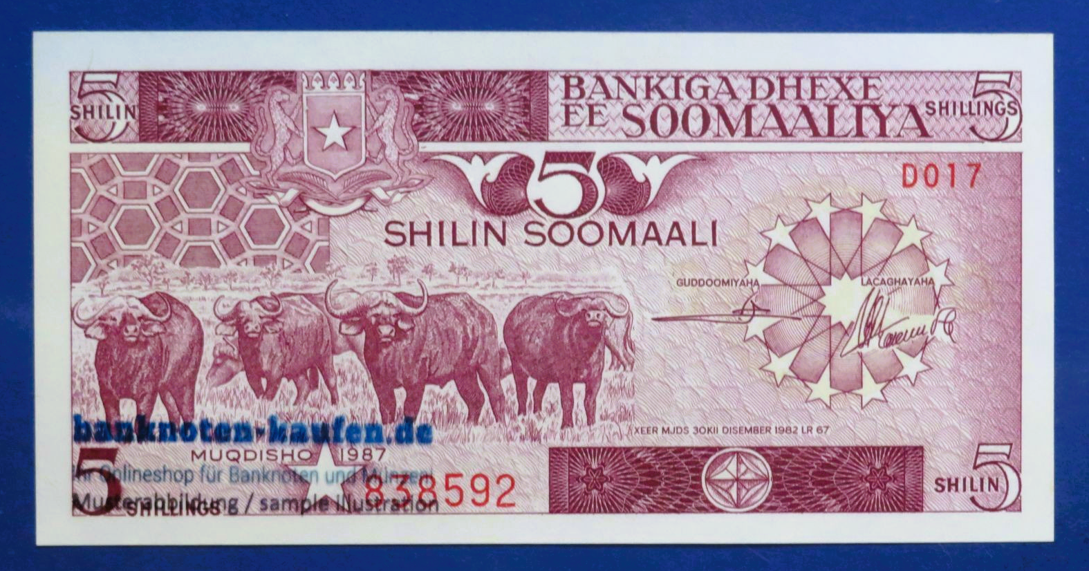 Somalia, 5 Shilin, 1987, uncirculated (UNC), P-31c