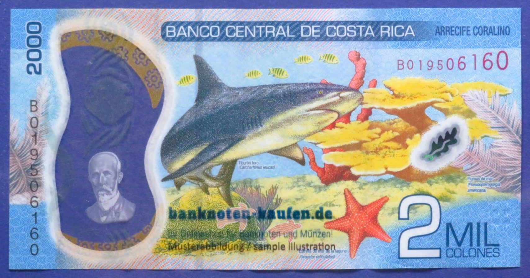 Costa Rica - 2,000 Colones, 2018, circulated (USED / VF), Polymer, P-281a