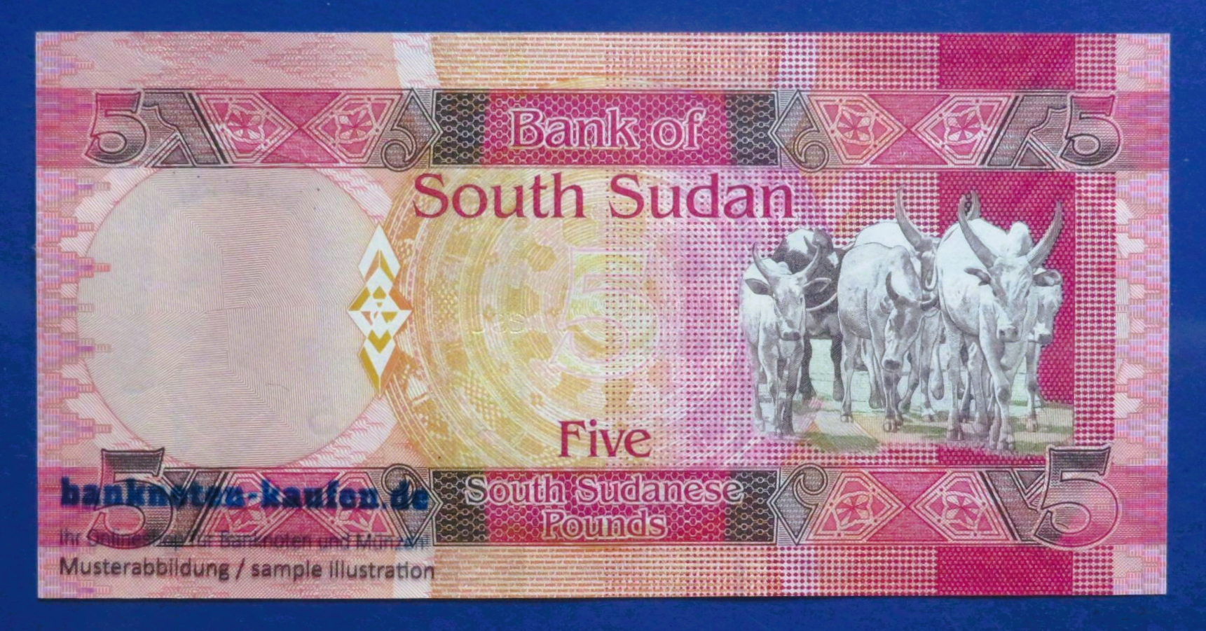 South Sudan, 5 Pounds, 2011, uncirculated (UNC), P-6