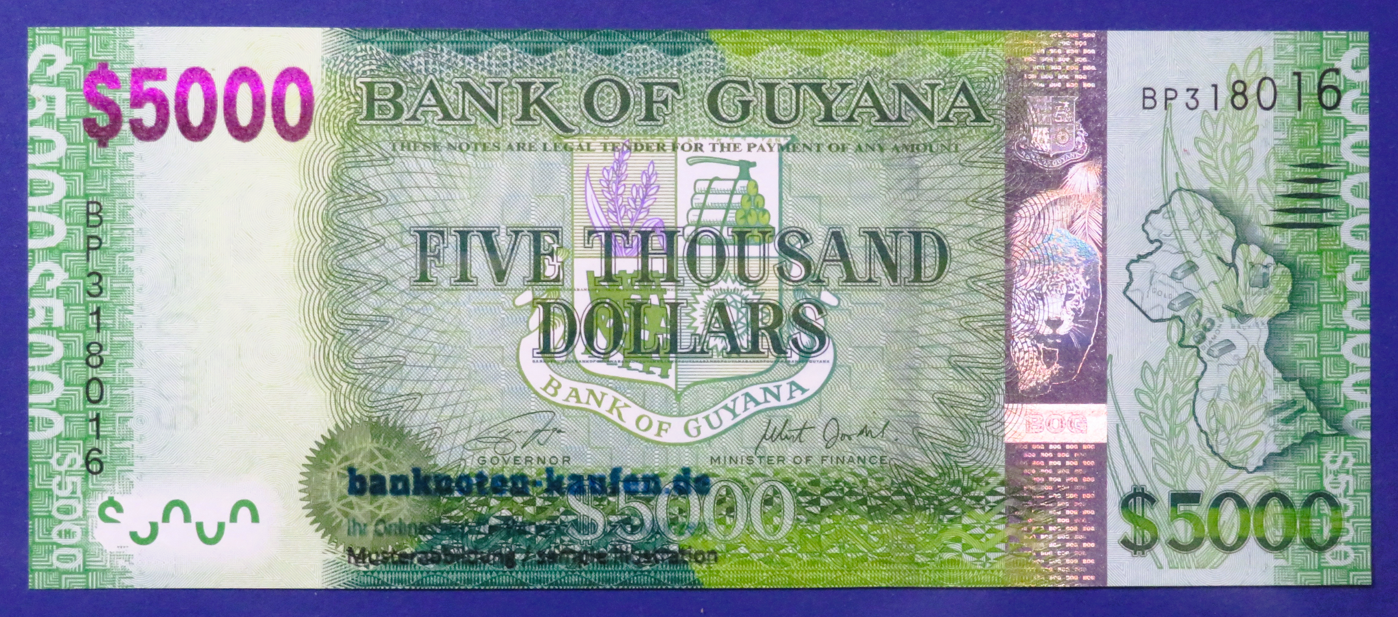 Guyana - 5,000 Dollars, 2014ND, uncirculated (UNC), P-40