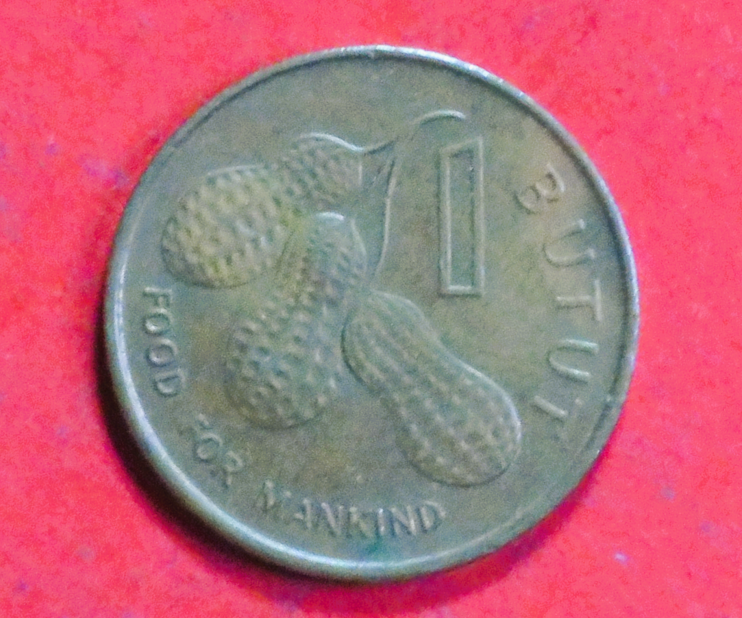 Gambia, 1 Butut, 1974, gebraucht (used / ss-vz), FAO, # 14