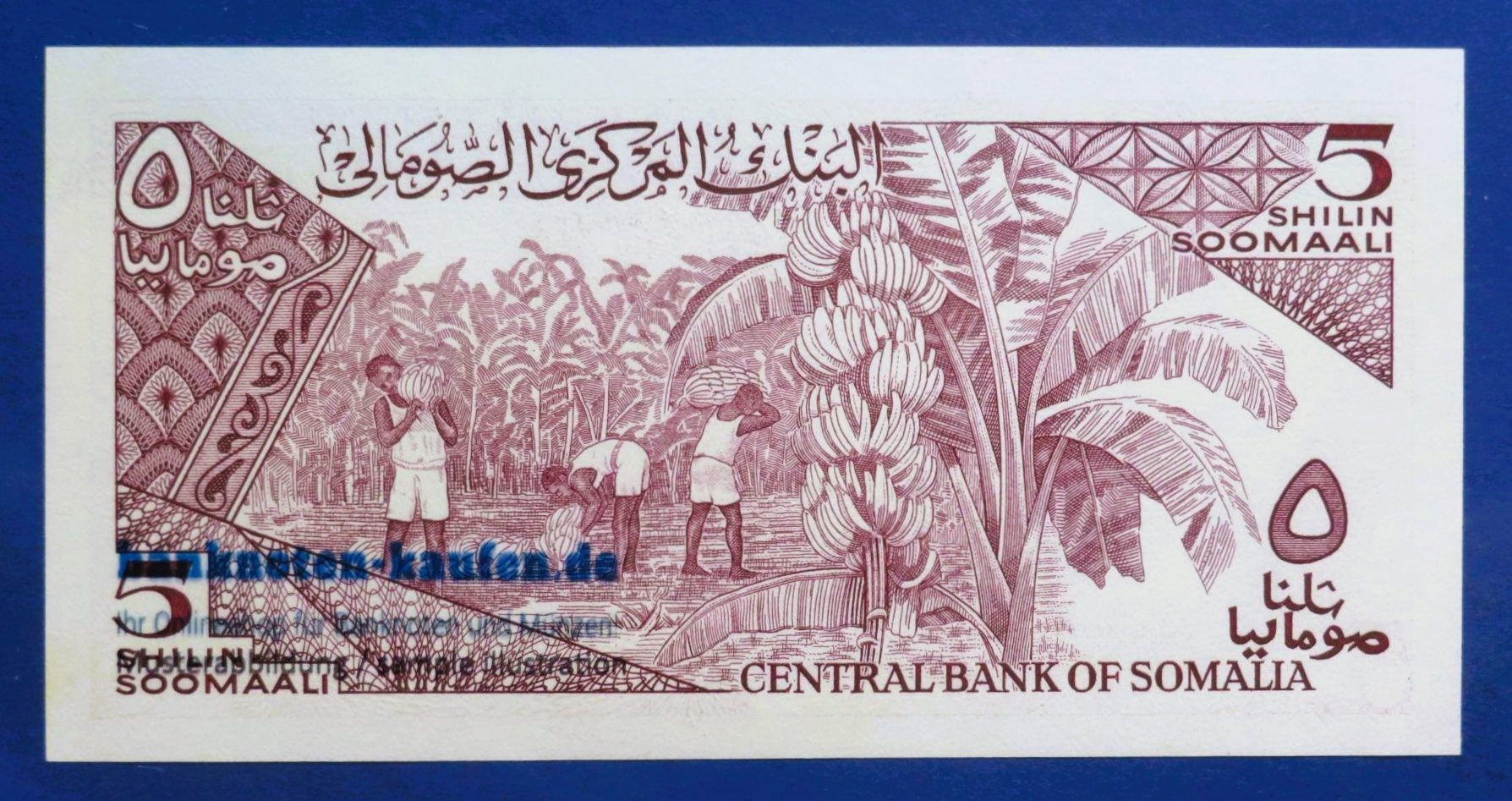 Somalia, 5 Shilin, 1987, uncirculated (UNC), P-31c