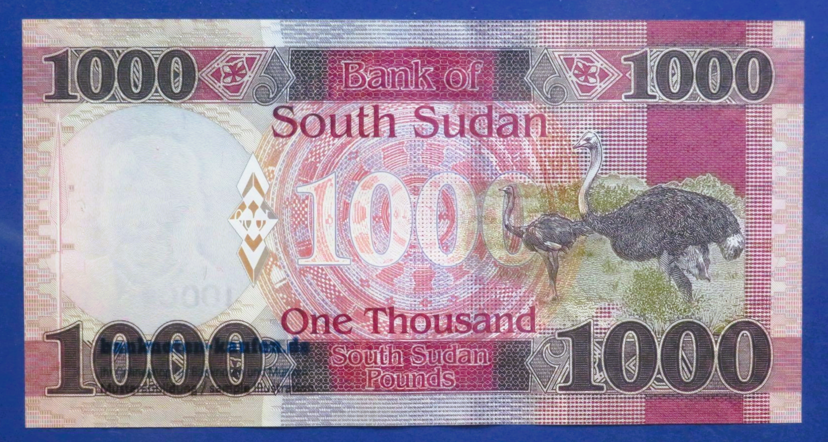 South Sudan - 1,000 Pounds, 2024, uncirculated (UNC), P-17d