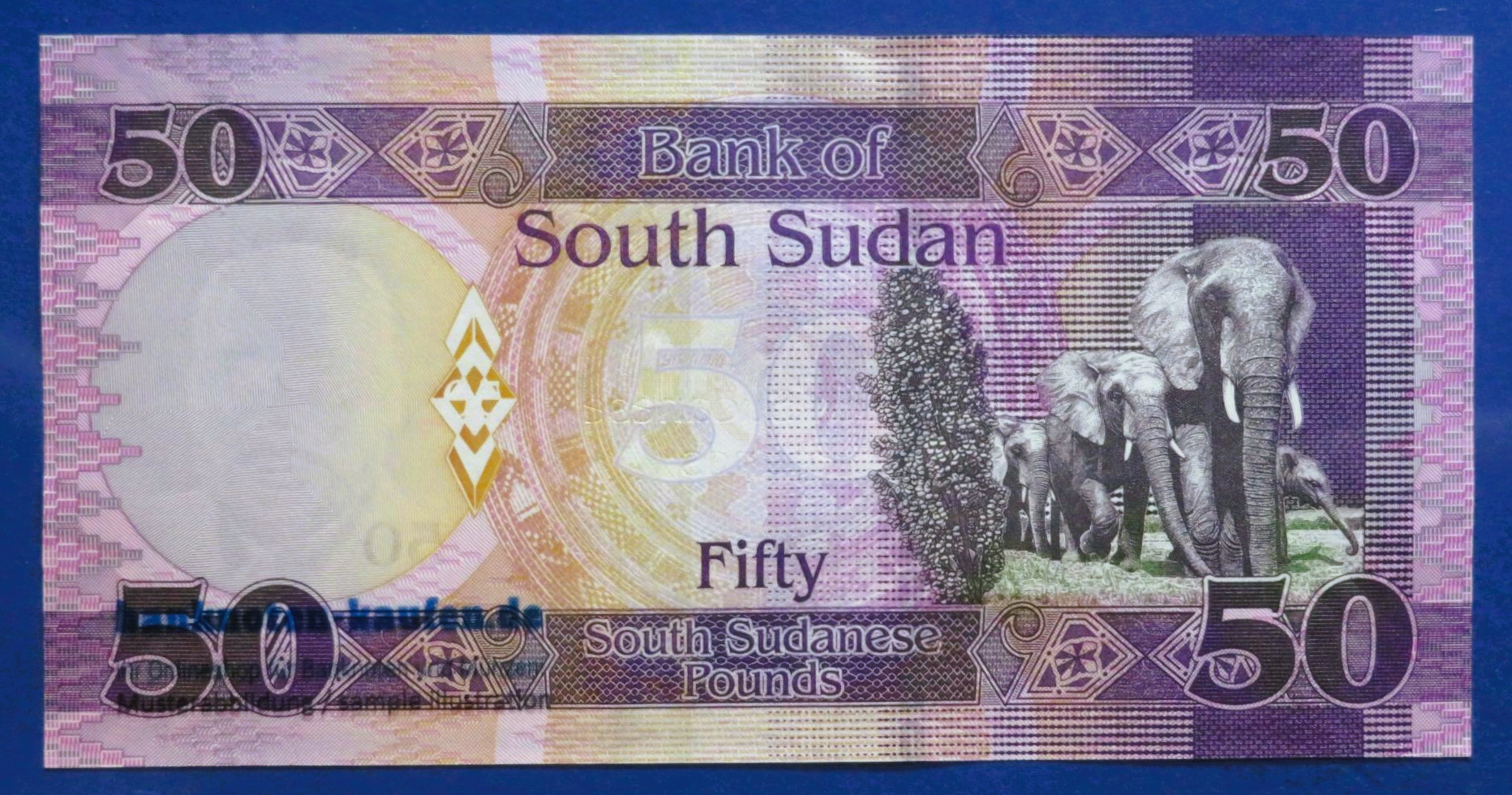 Südsudan, 50 Pounds, 2019, fast kassenfrisch (AU), P-14d