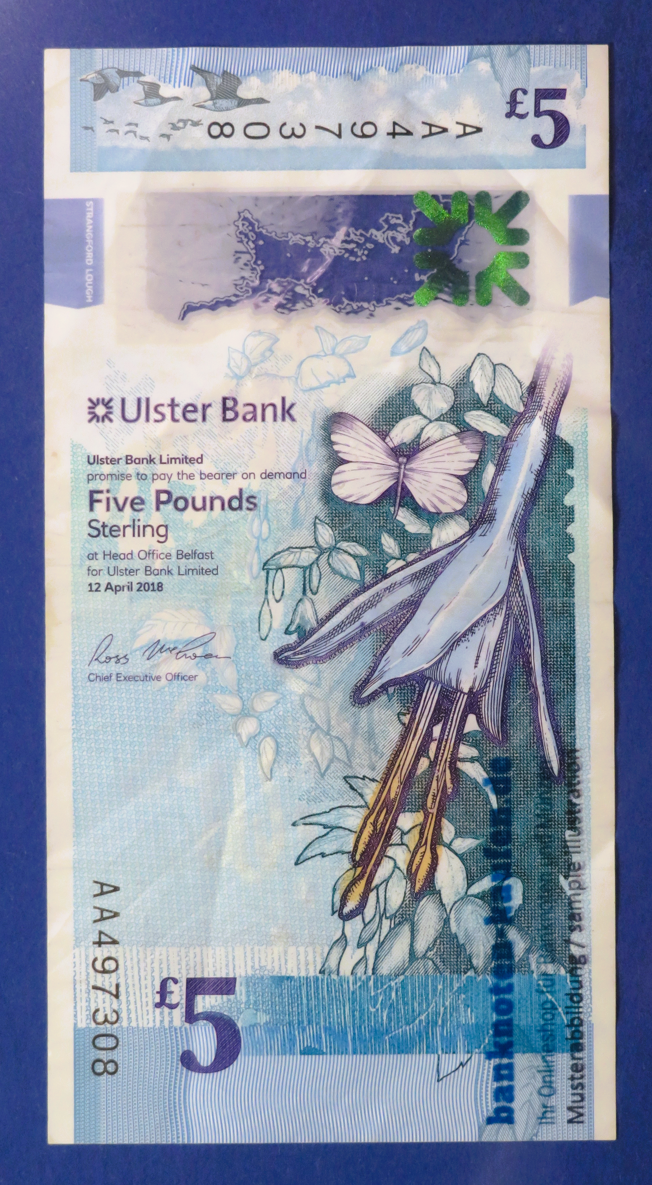 Nordirland, 5 Pounds, 2018, gebraucht (USED / VF-), Polymer, P-343