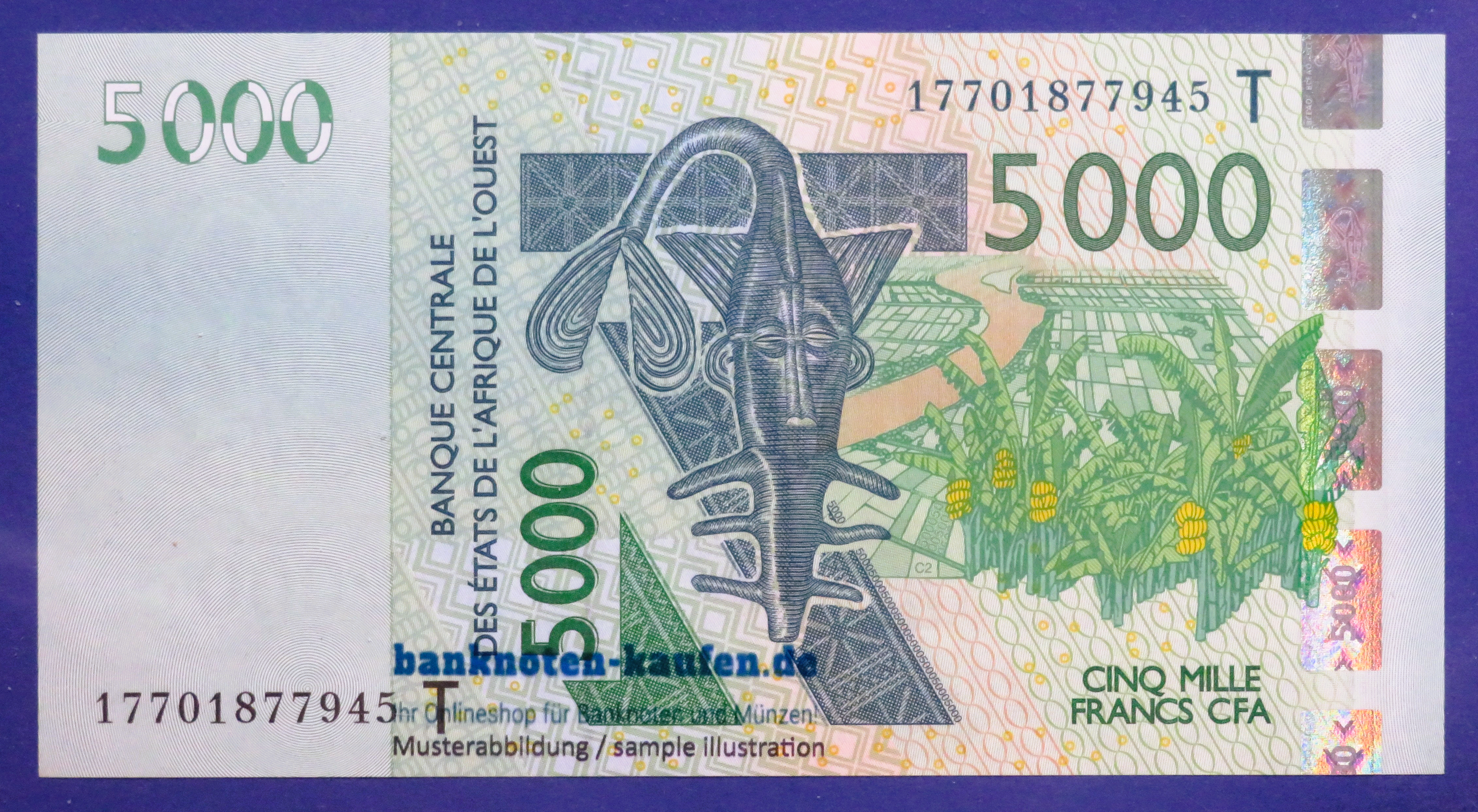 West African States - 5,000 Francs, 2003, about uncirculated (AU), P-817T