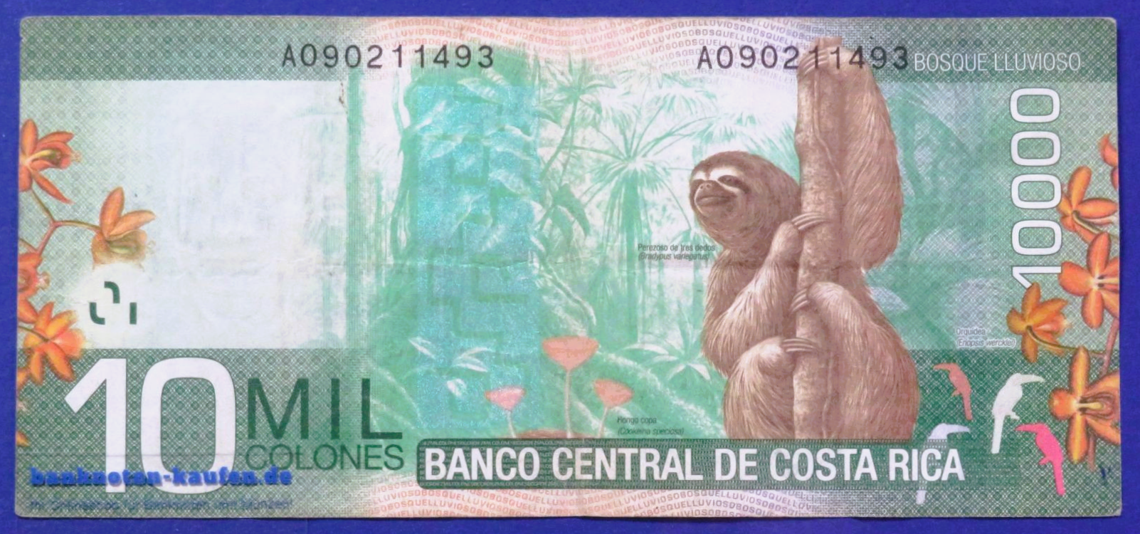 Costa Rica - 10,000 Colones, 2014, circulated (USED / VF-), P-277b