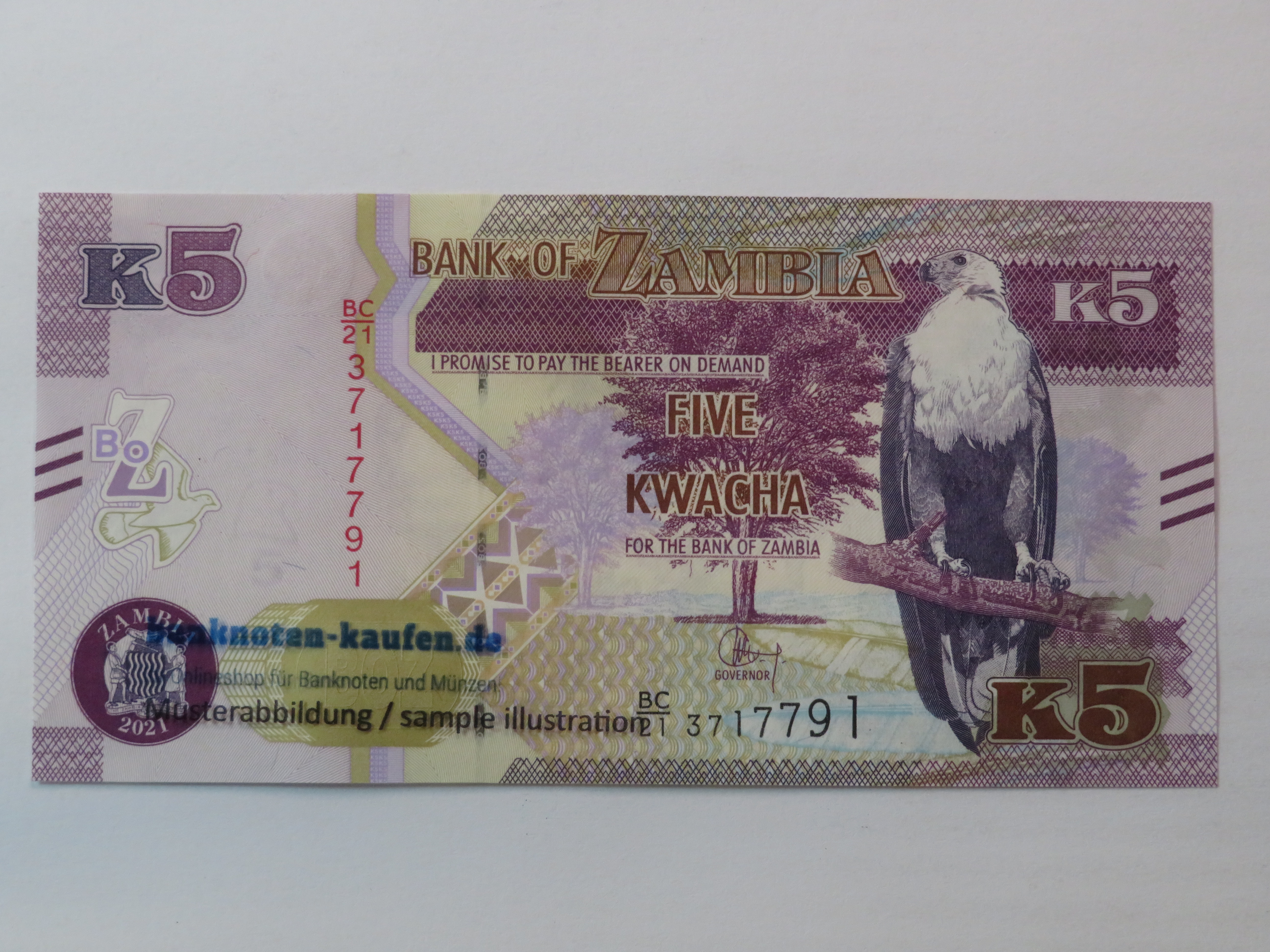 Sierra Leone - 1 Leone - UNC