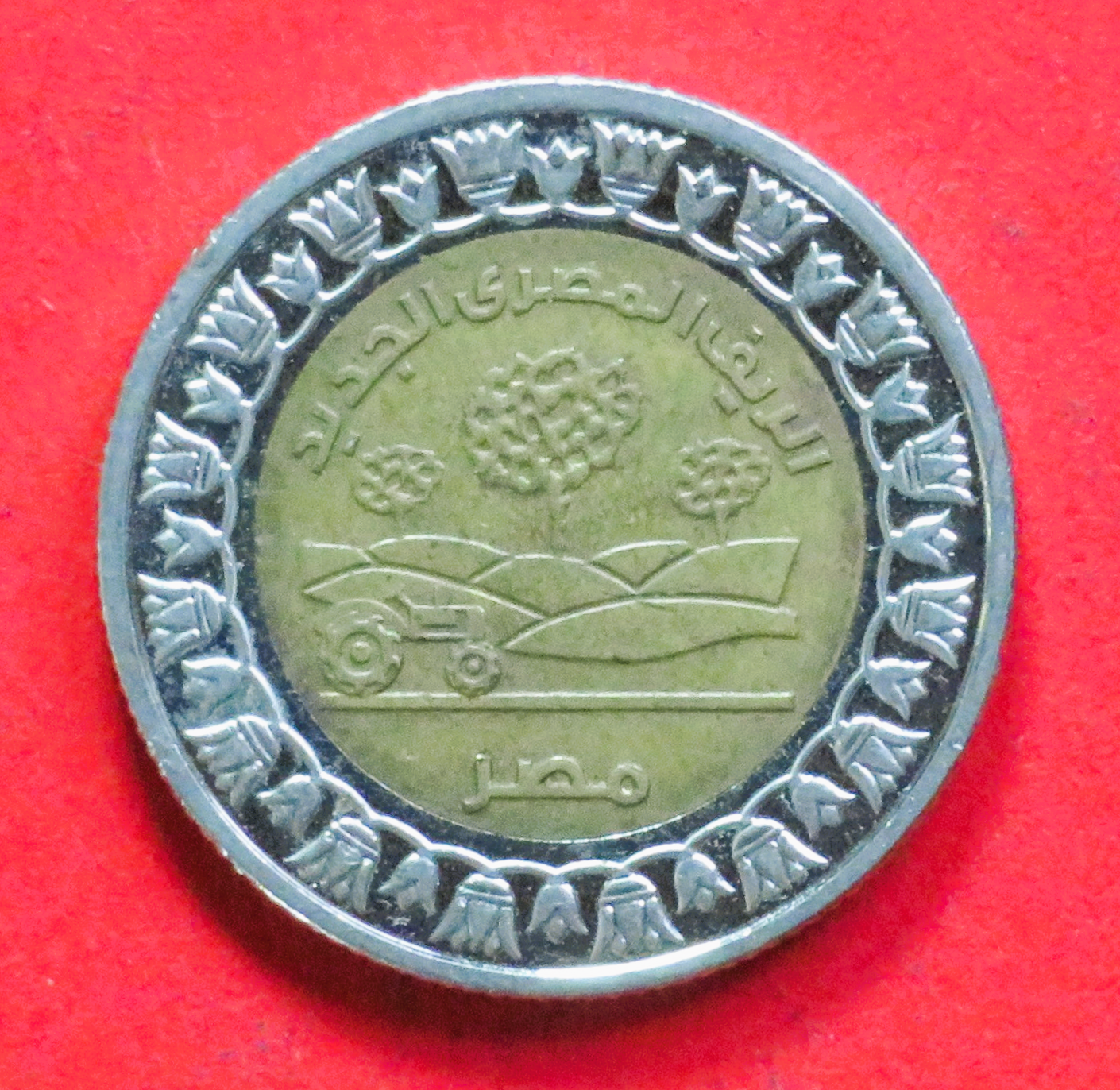Ägypten: 1 Pound, 2019, gebraucht (used / ss), Gedenkausgabe