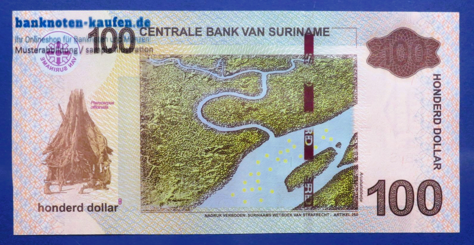 Suriname, 100 Dollars, 2020, uncirculated (UNC), P-166e