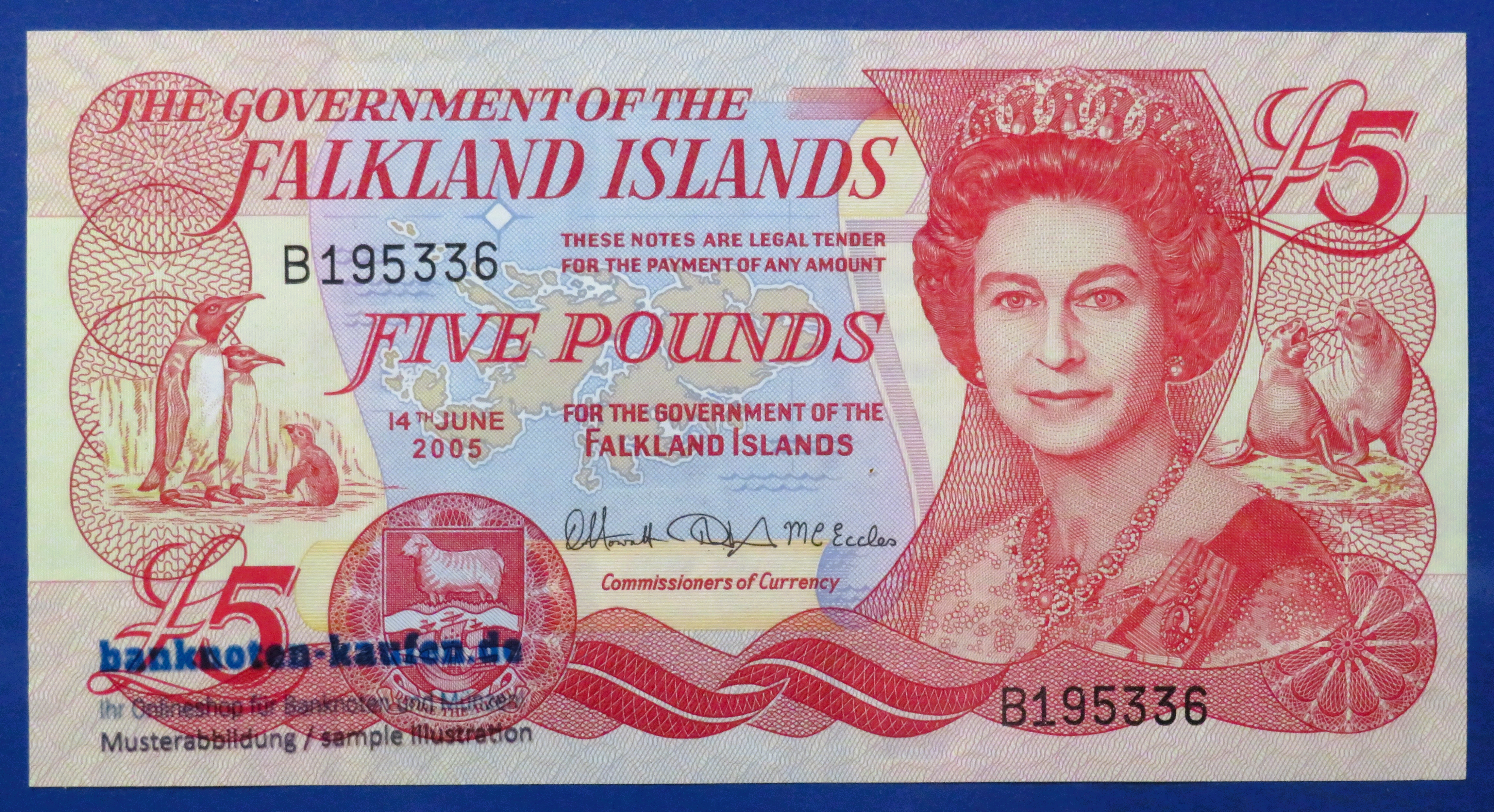 Falkland Islands, 5 Pounds, 2005, uncirculated (UNC), P-17 