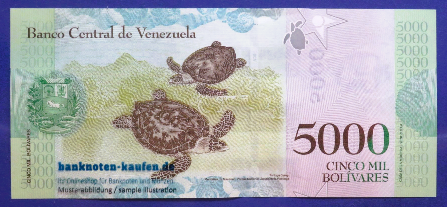 Venezuela - 5,000 Bolivares fuerte, 2017, uncirculated (UNC), P-97