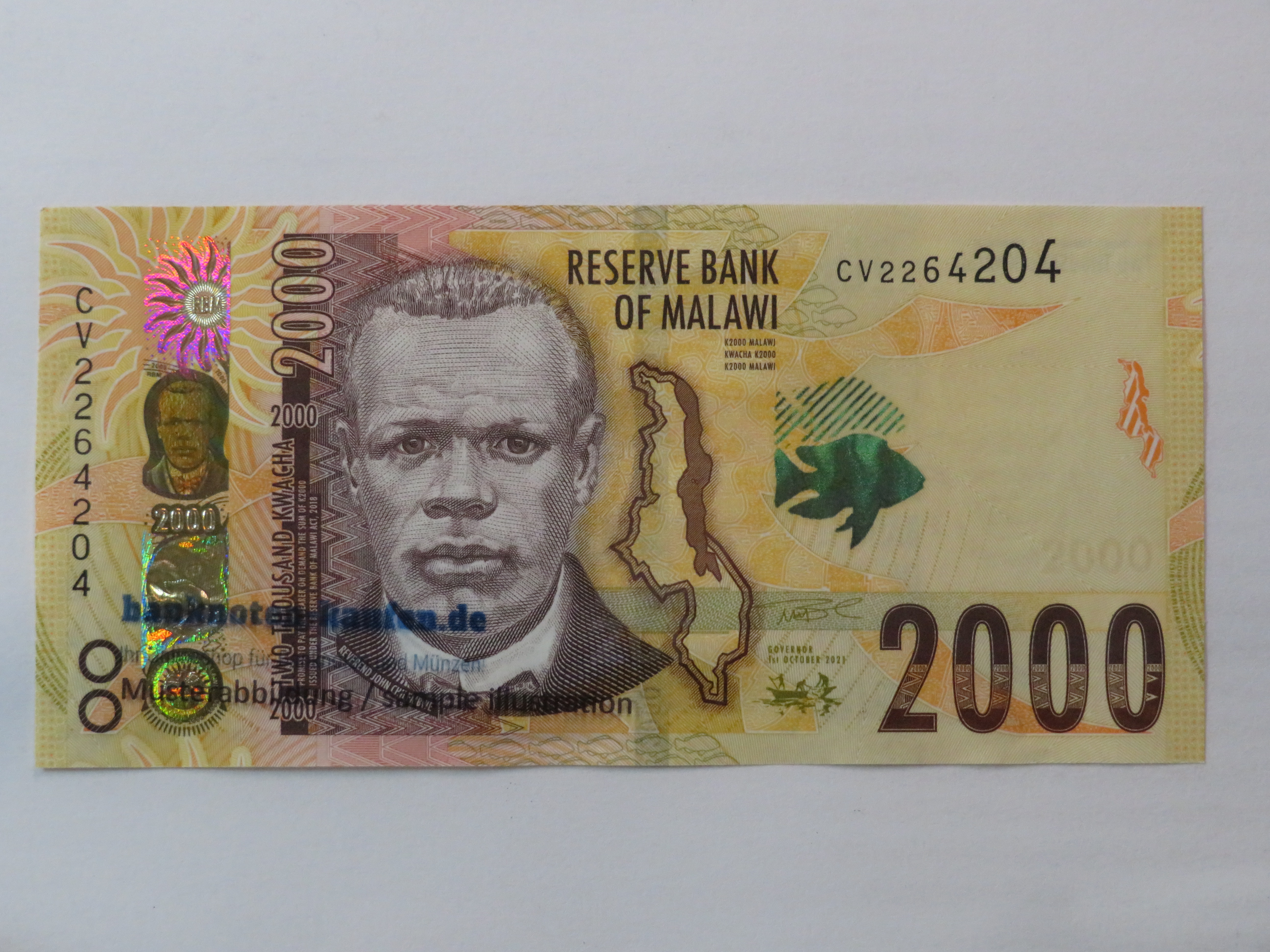 Egypt - 5 Pounds - UNC