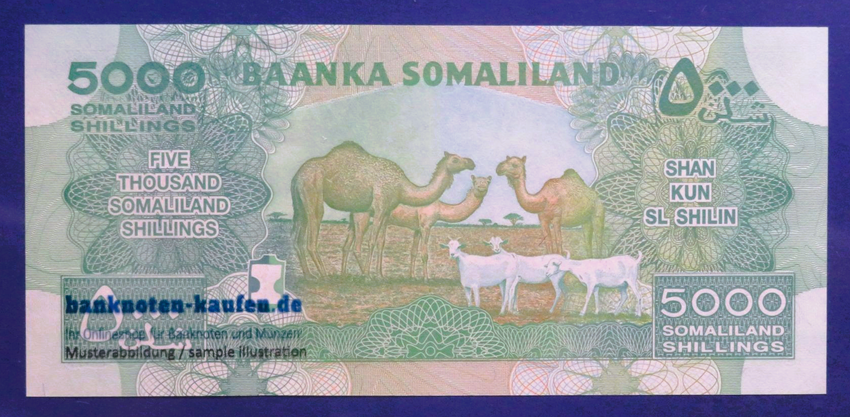 Somaliland - 5,000 Shillings, 2011, uncirculated (UNC), P-21a