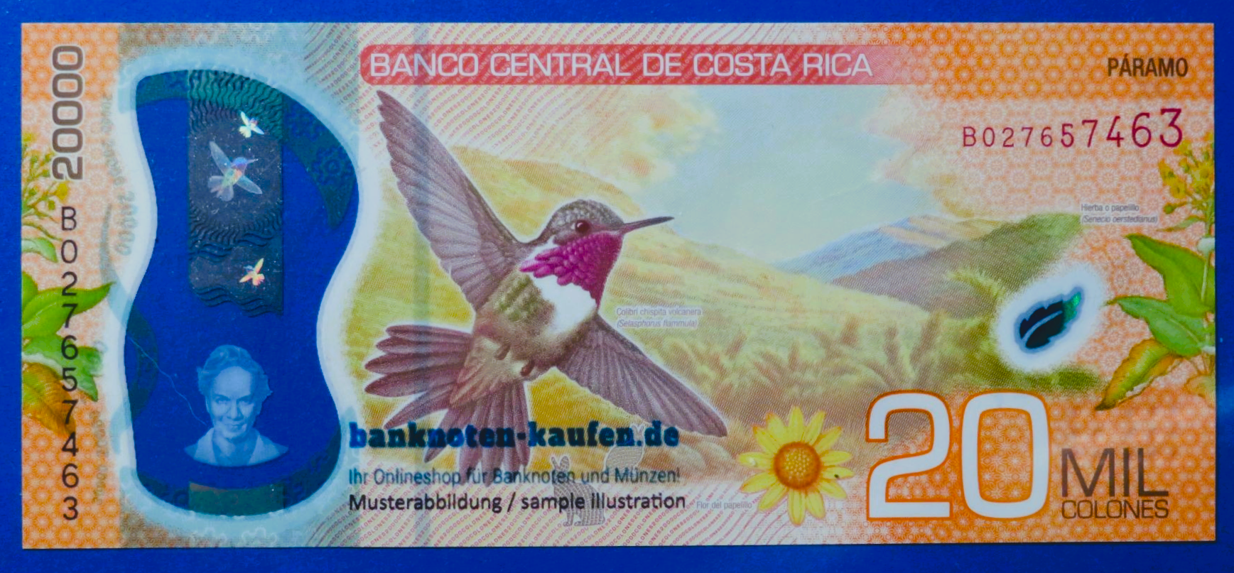 Costa Rica, 20.000 Colones, 2018, kassenfrisch (UNC), Polymer, P-284