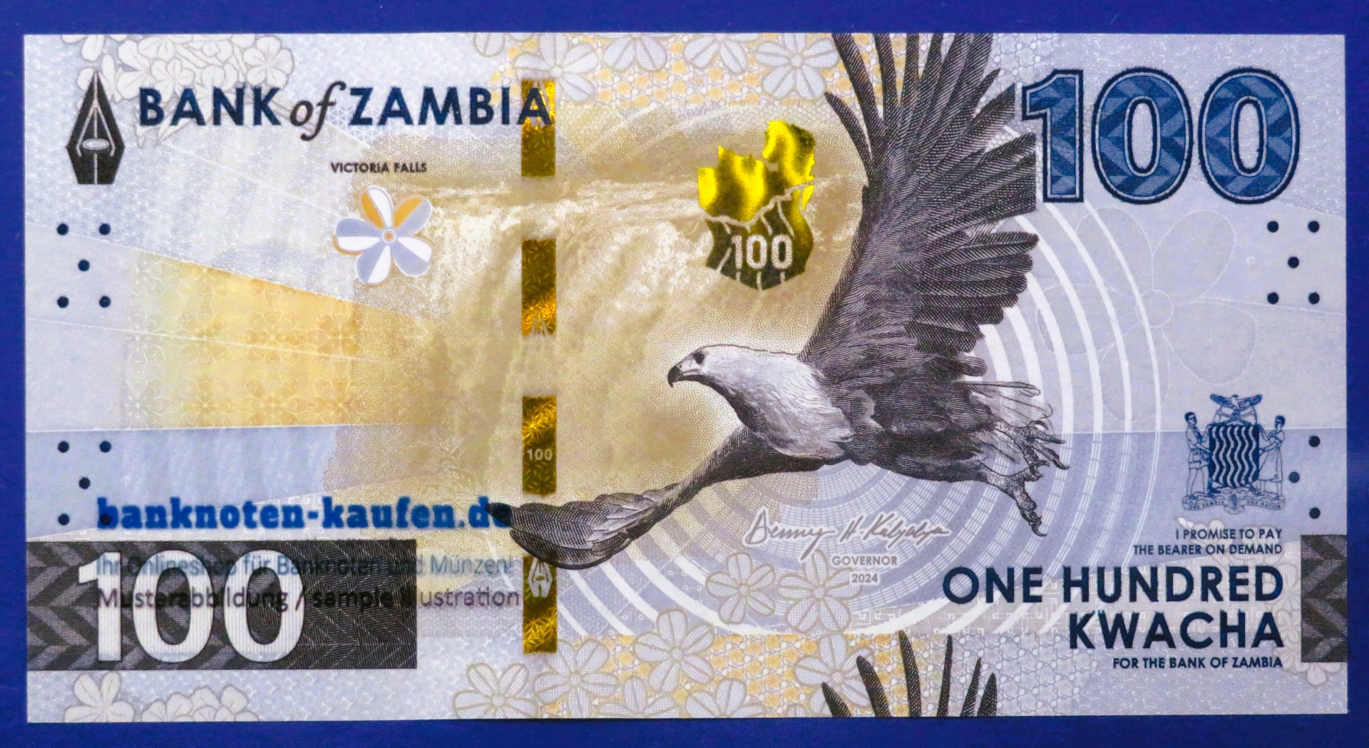 Zambia, 100 Kwacha, 2024, uncirculated (UNC), P-65